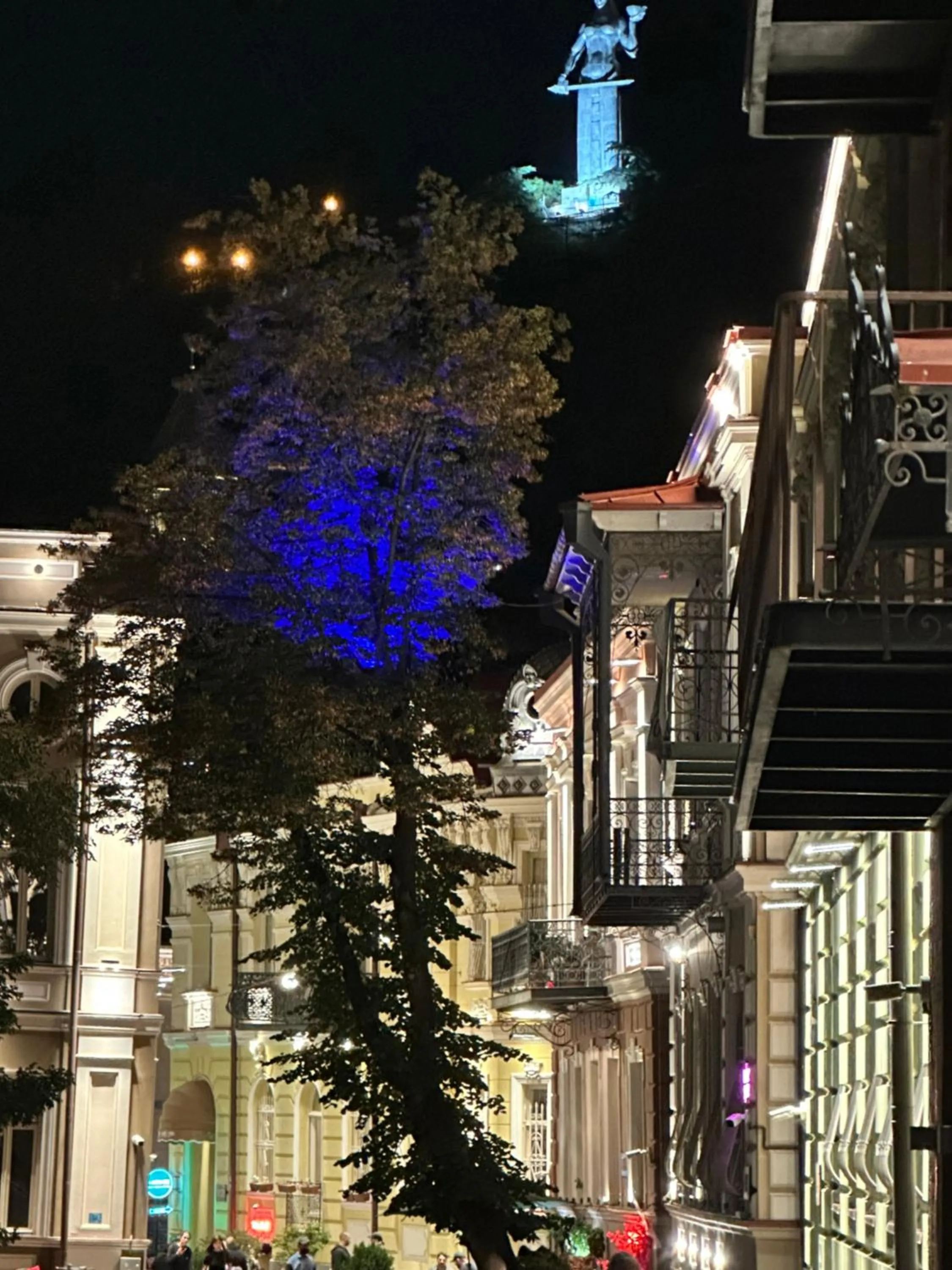 City view in Apartment Gudiashvili square
