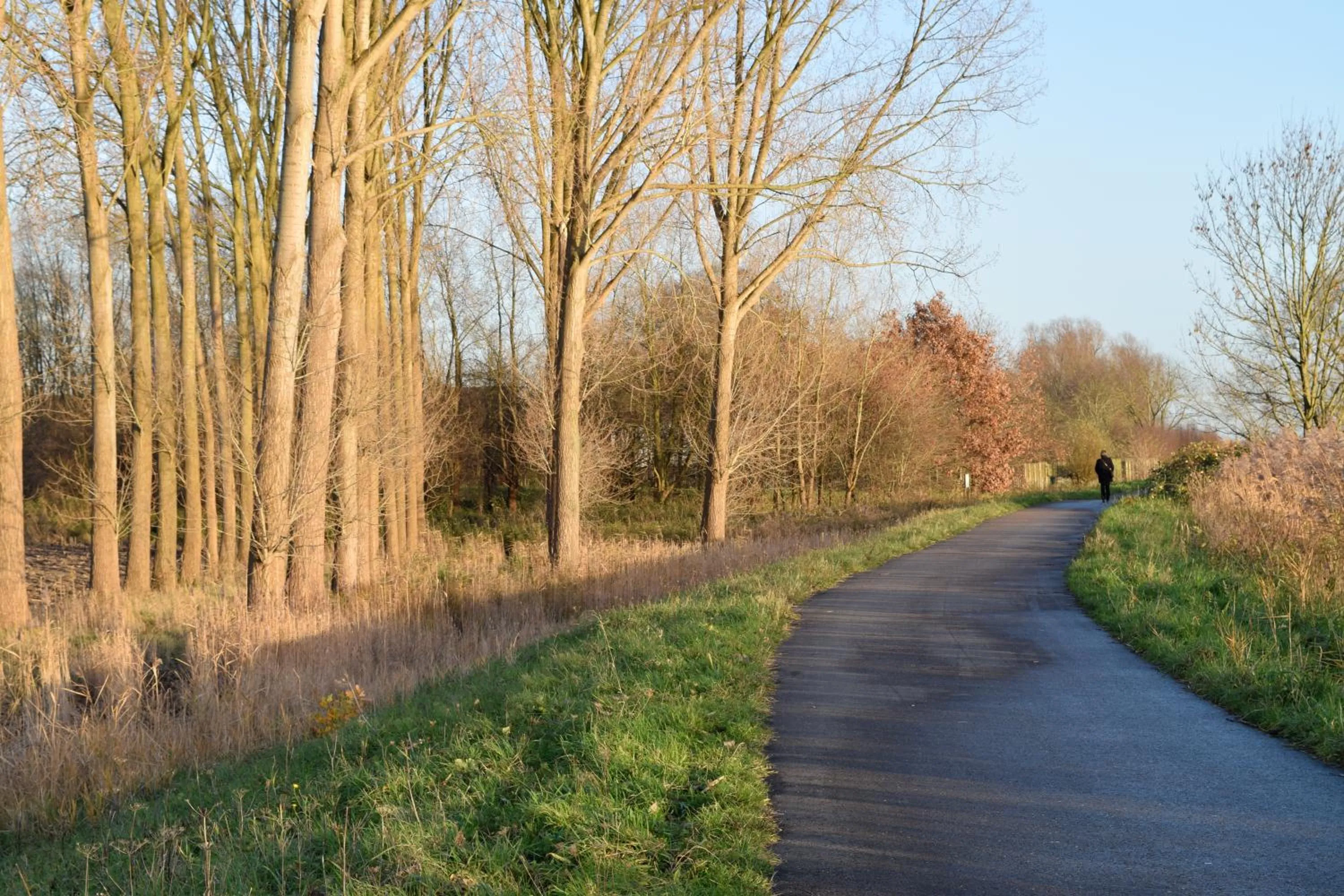 Neighbourhood in Logieslogees