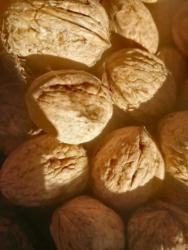 Monte Termine Country House