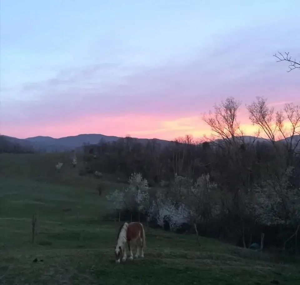 Monte Termine Country House