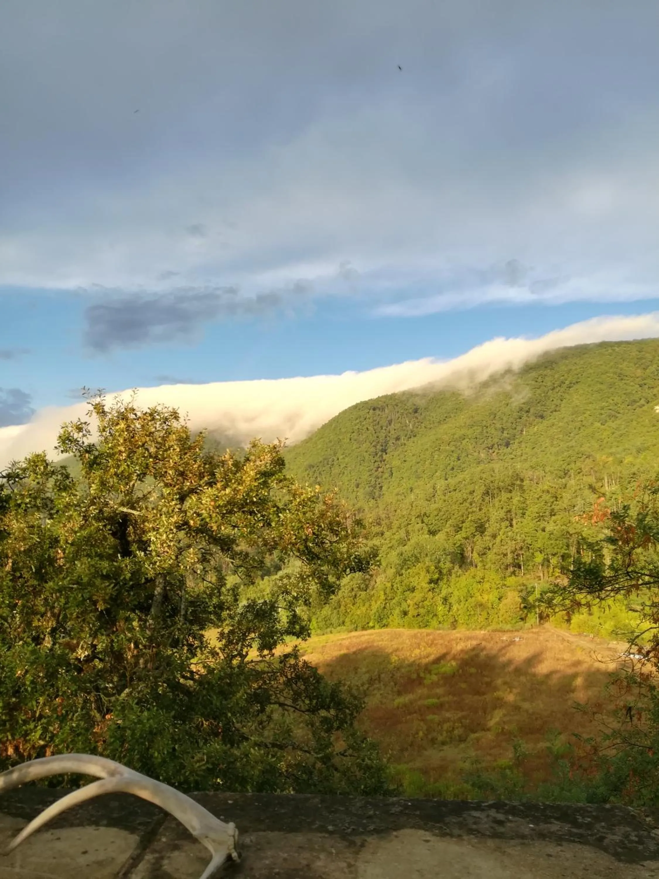 Garden view in Monte Termine Country House