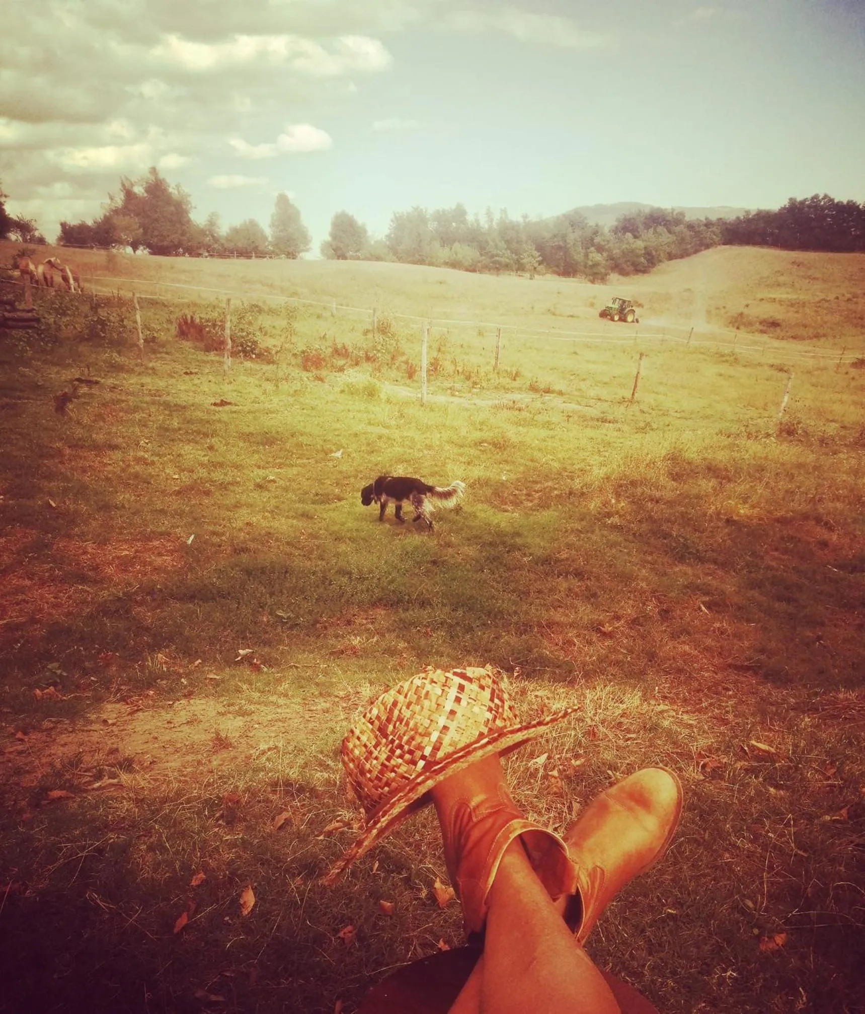 Monte Termine Country House