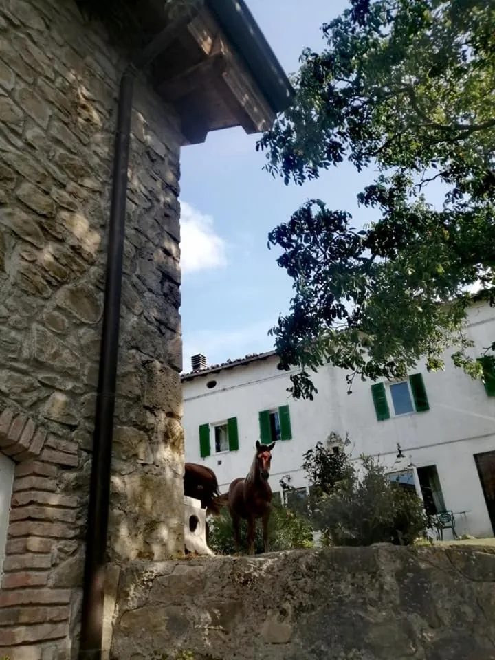 Monte Termine Country House