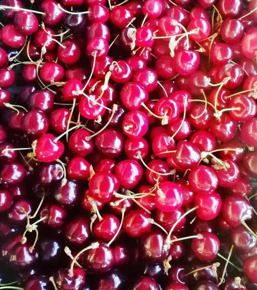 Food and drinks in Monte Termine Country House