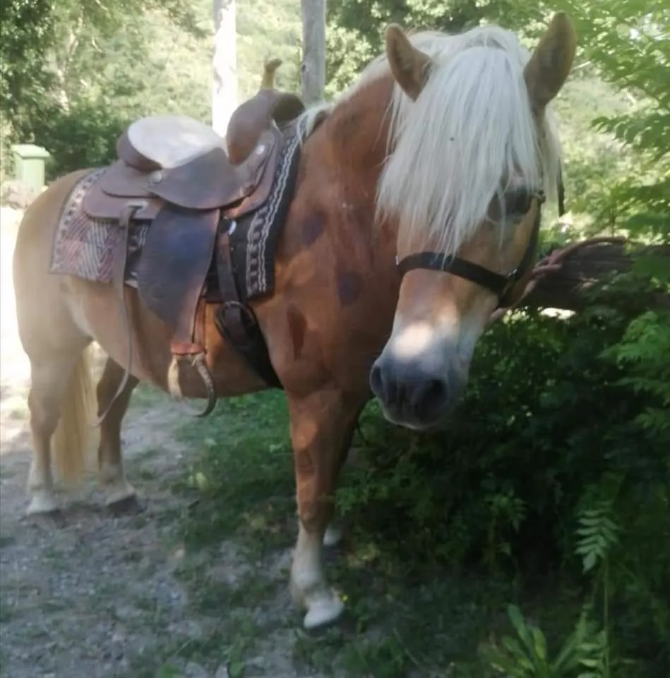 Horse-riding in Monte Termine Country House