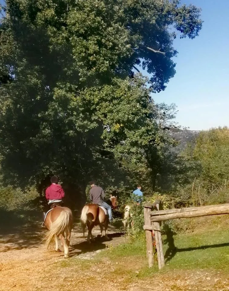 Monte Termine Country House