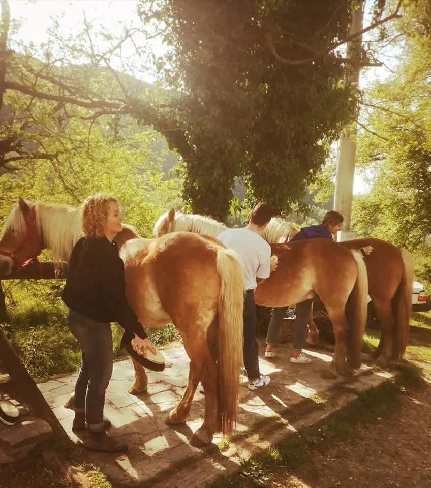 Monte Termine Country House