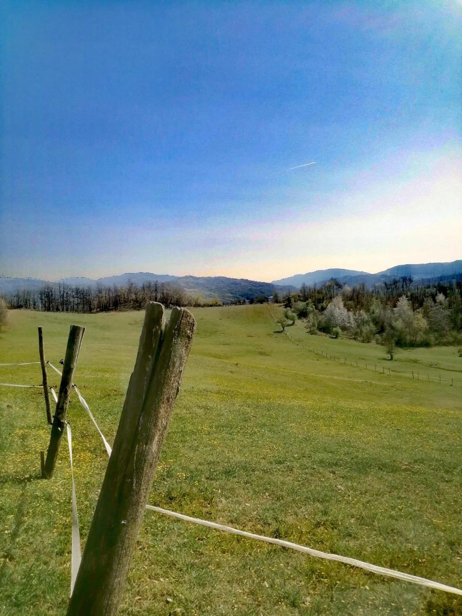 Monte Termine Country House