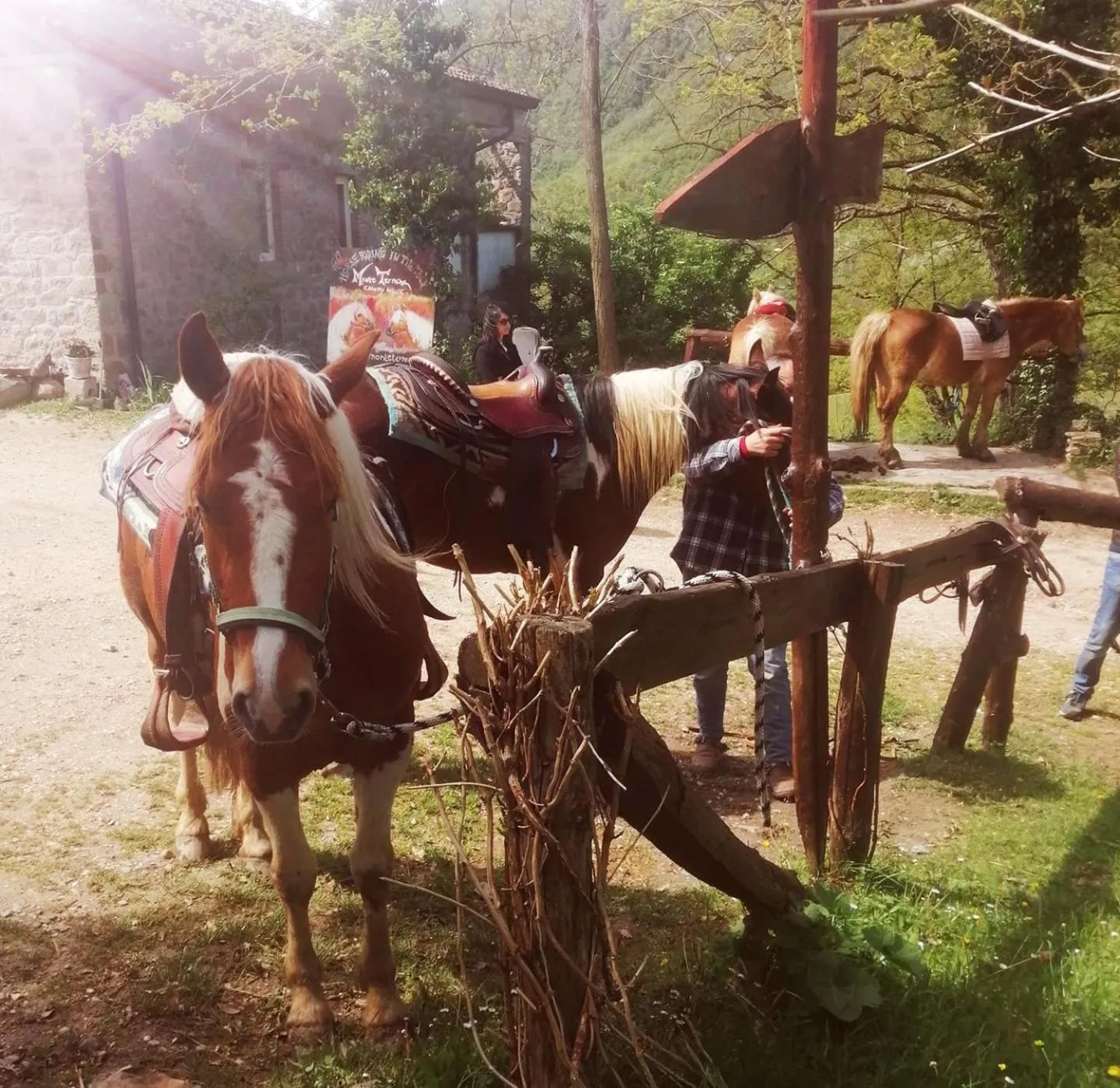 Monte Termine Country House