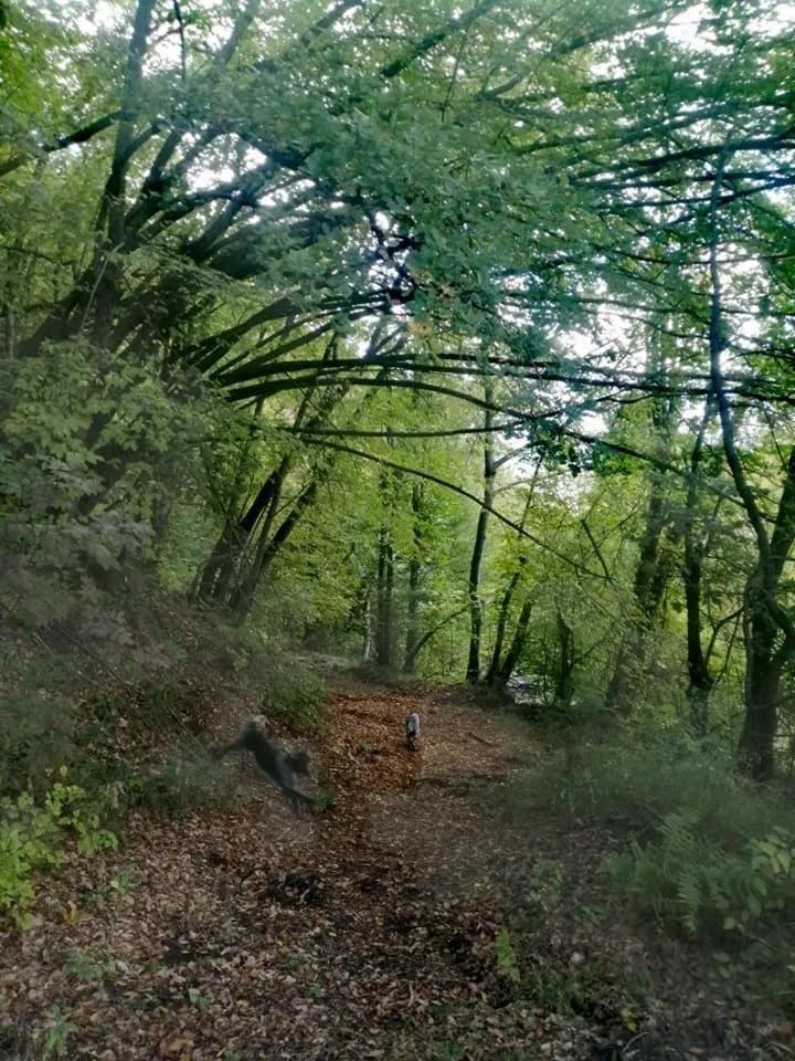 Monte Termine Country House