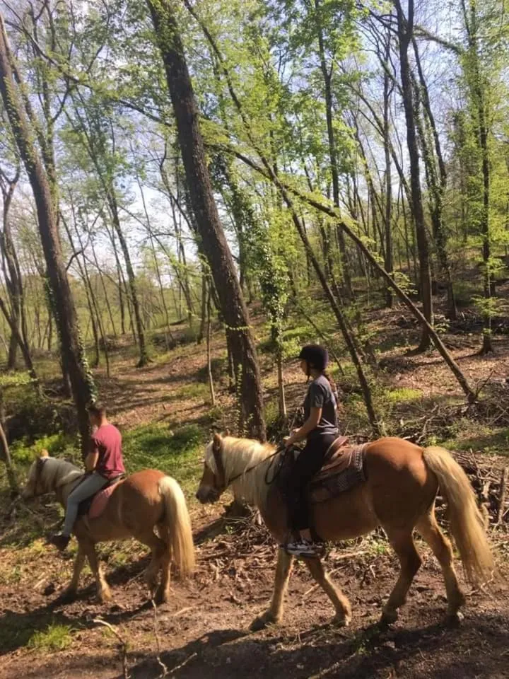 Monte Termine Country House