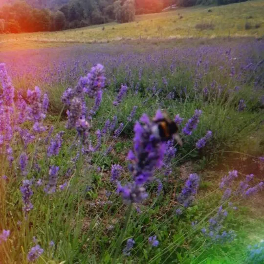 Natural landscape in Monte Termine Country House