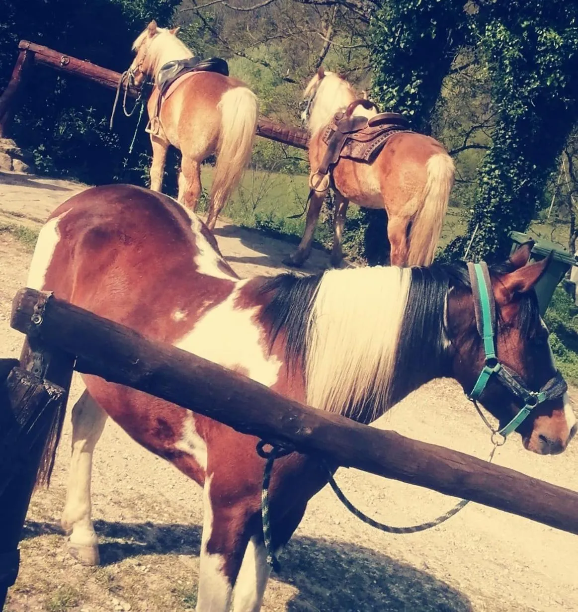 Monte Termine Country House