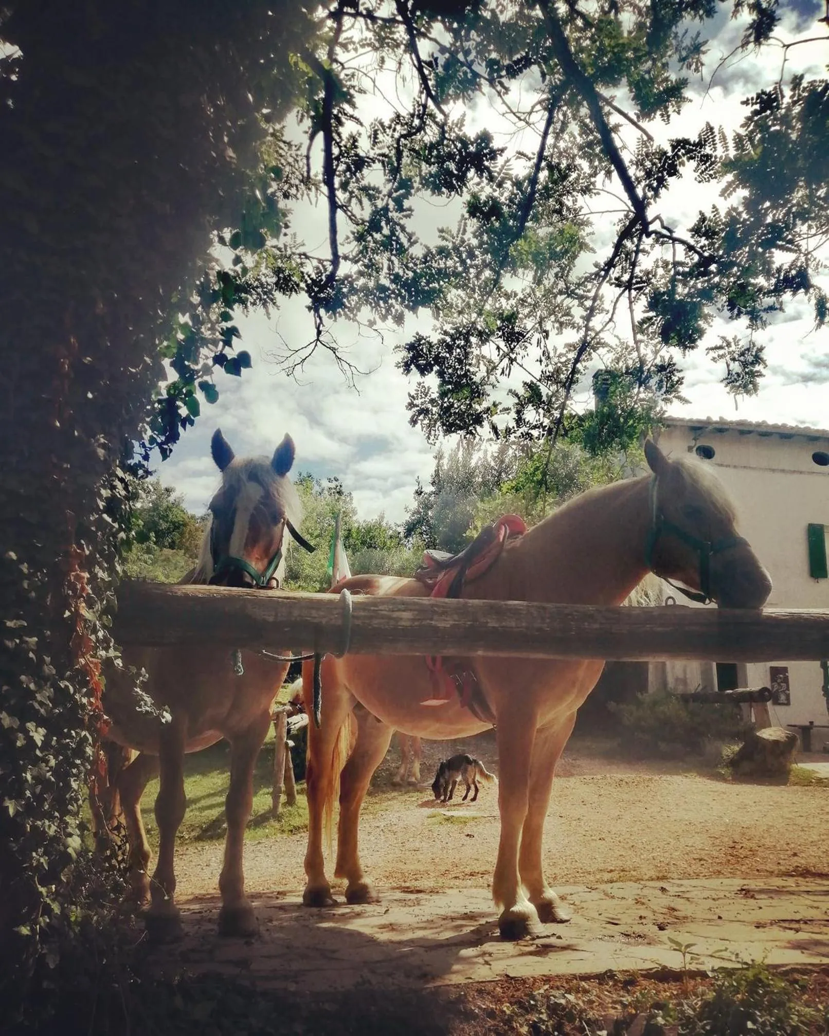 Monte Termine Country House