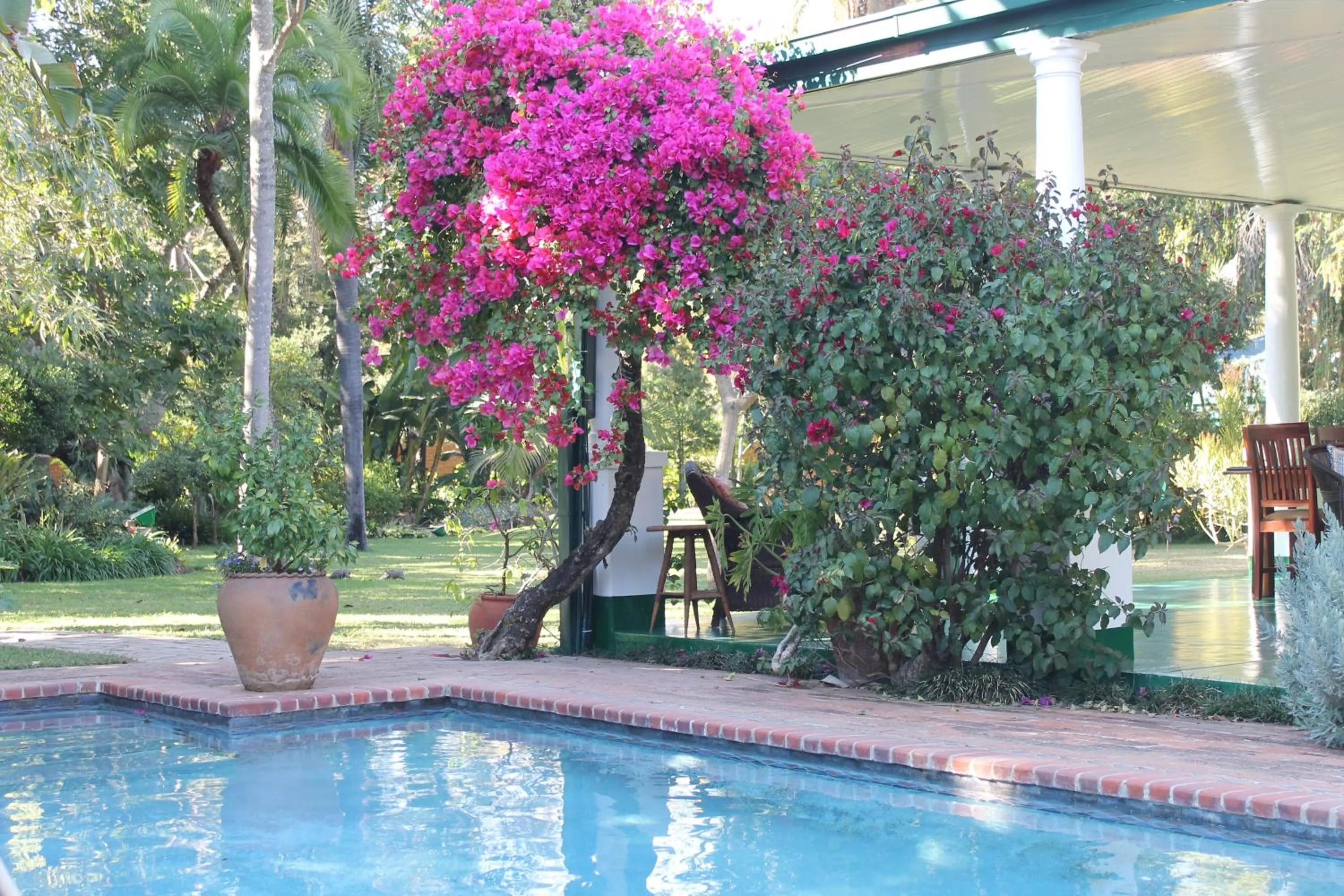 Swimming pool in York Lodge