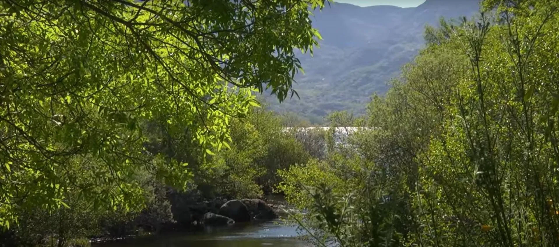 La Posada de Pedrazales