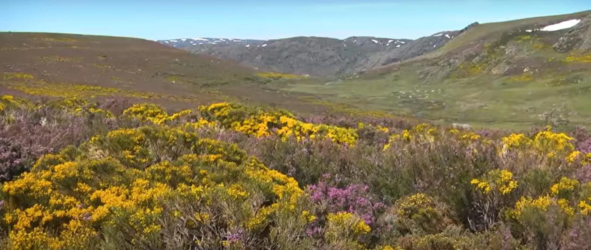 La Posada de Pedrazales