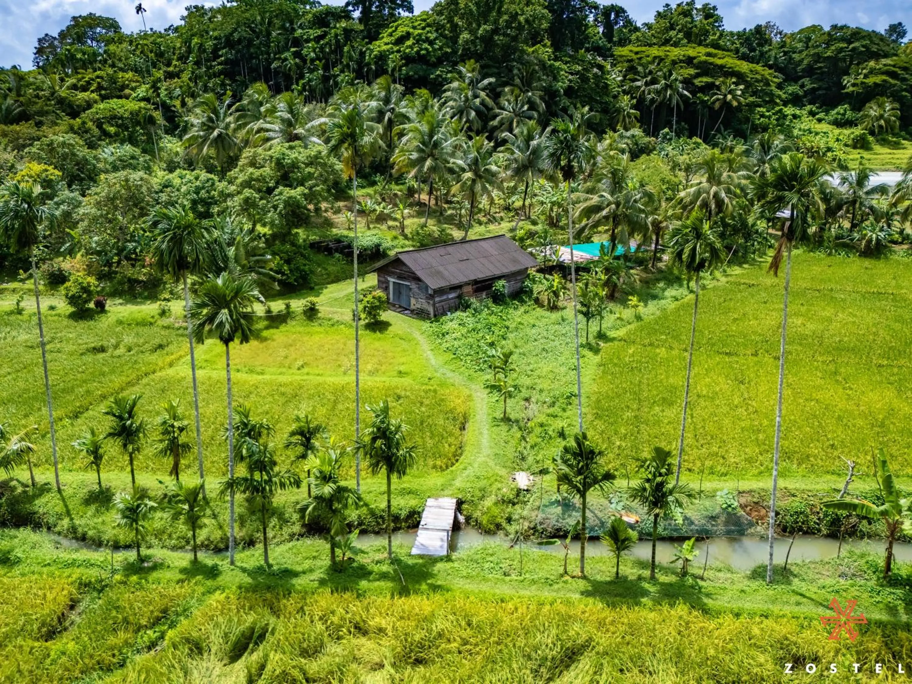 Natural landscape in Zostel Port Blair