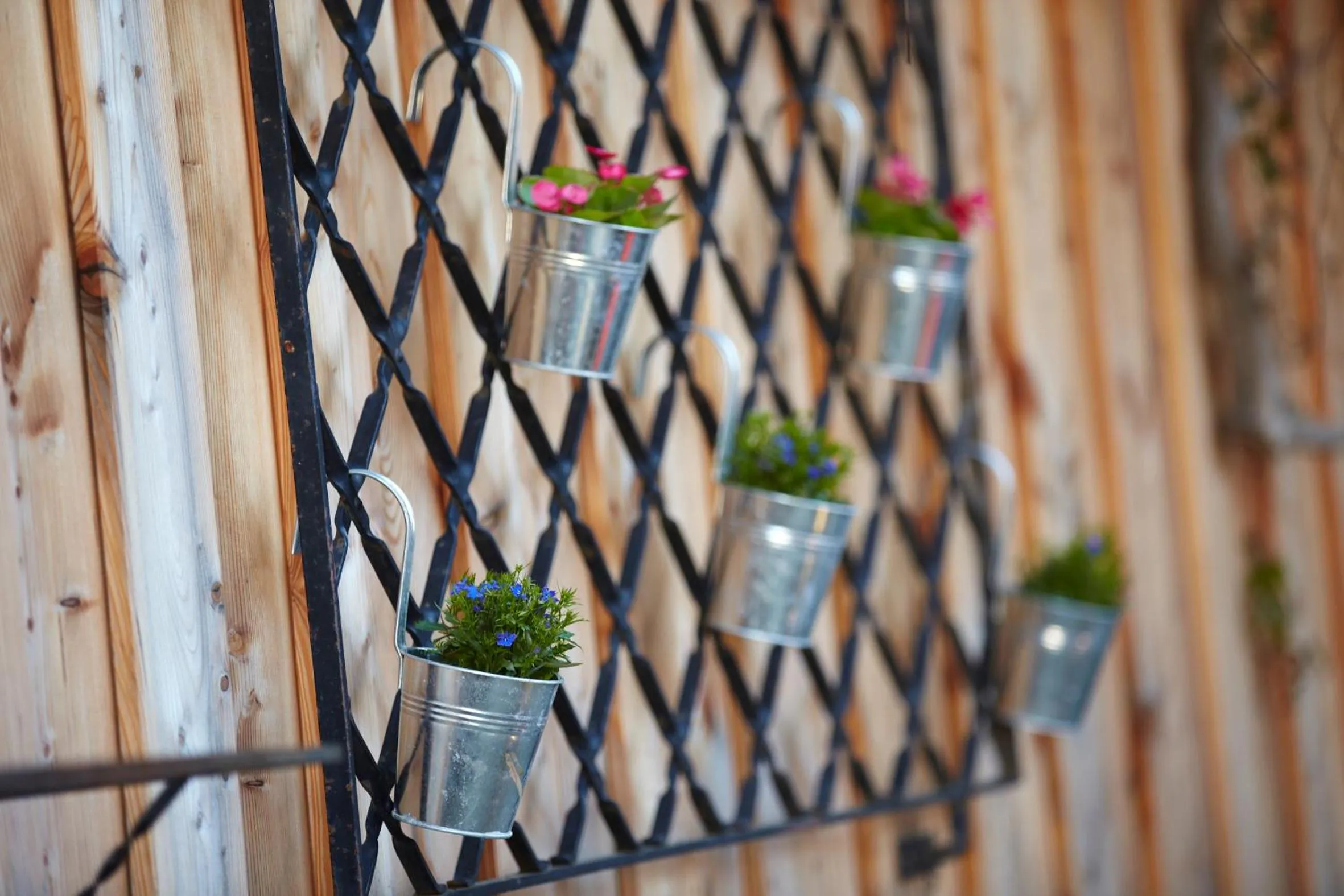 Hotel Waldfrieden "Das kleine Hotel"