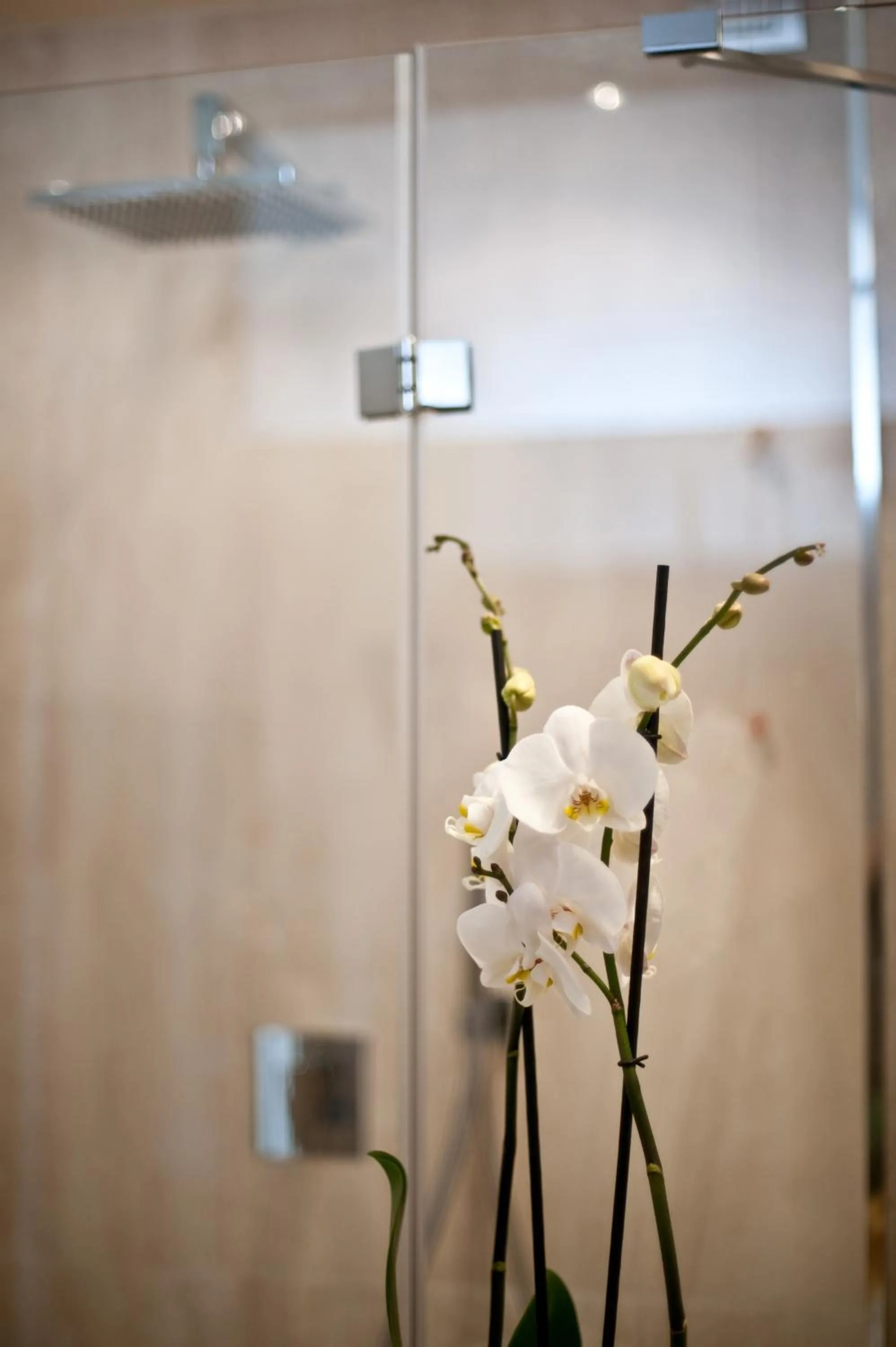 Bathroom in Duomo Rooms