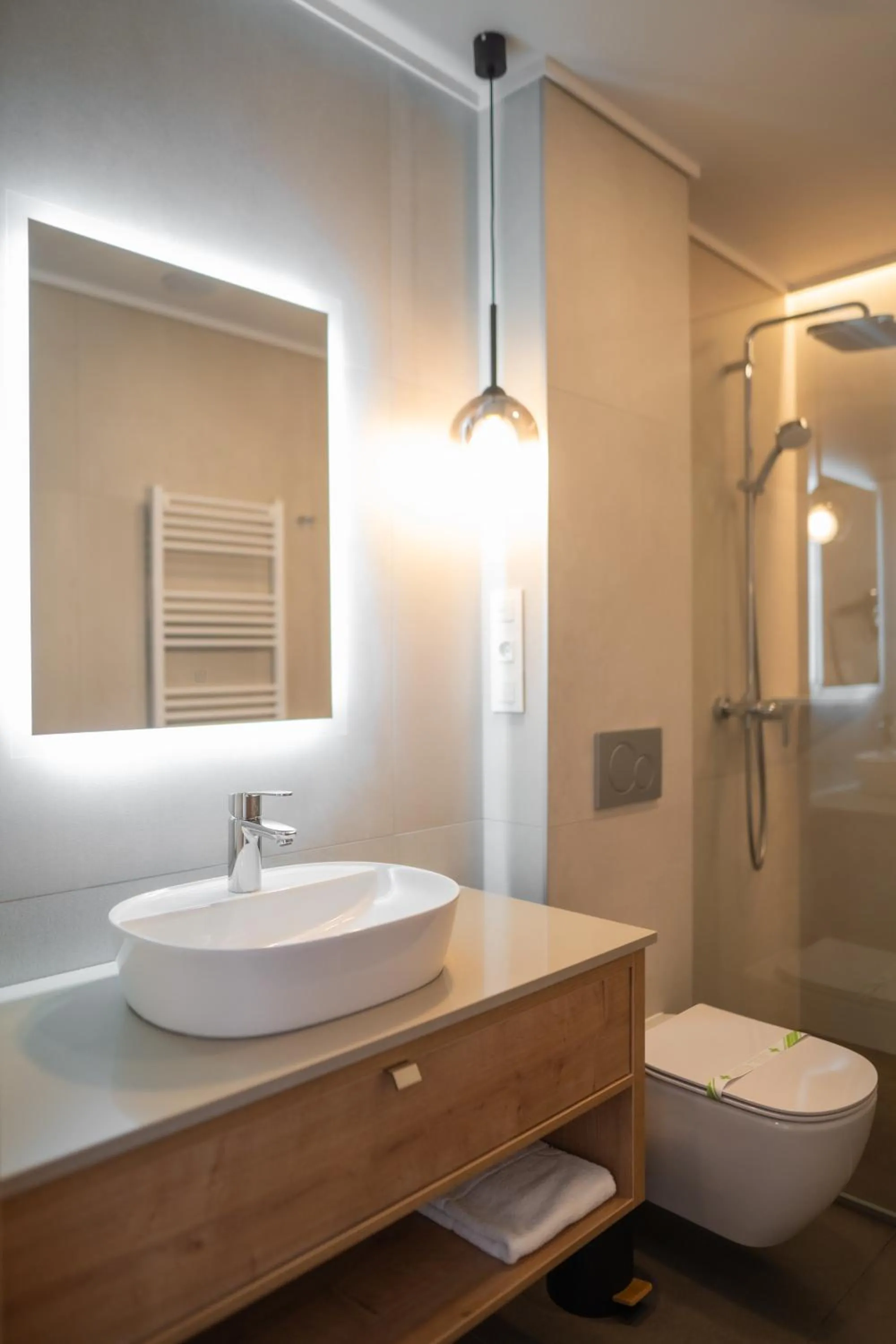 Toilet in No Pardon Hotel