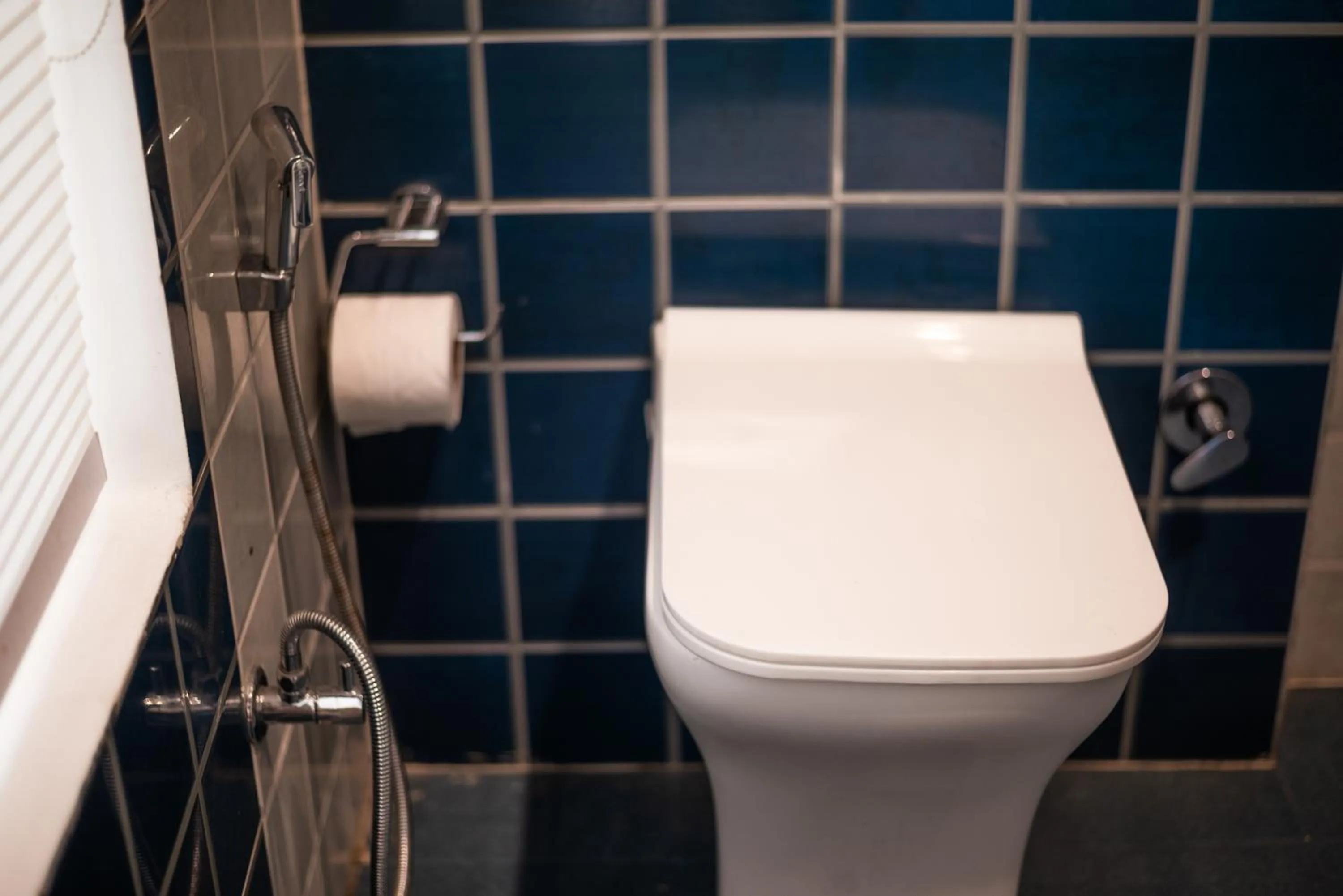 Hotel Sagar Residency - Best Mountain View Hotel in Palampur