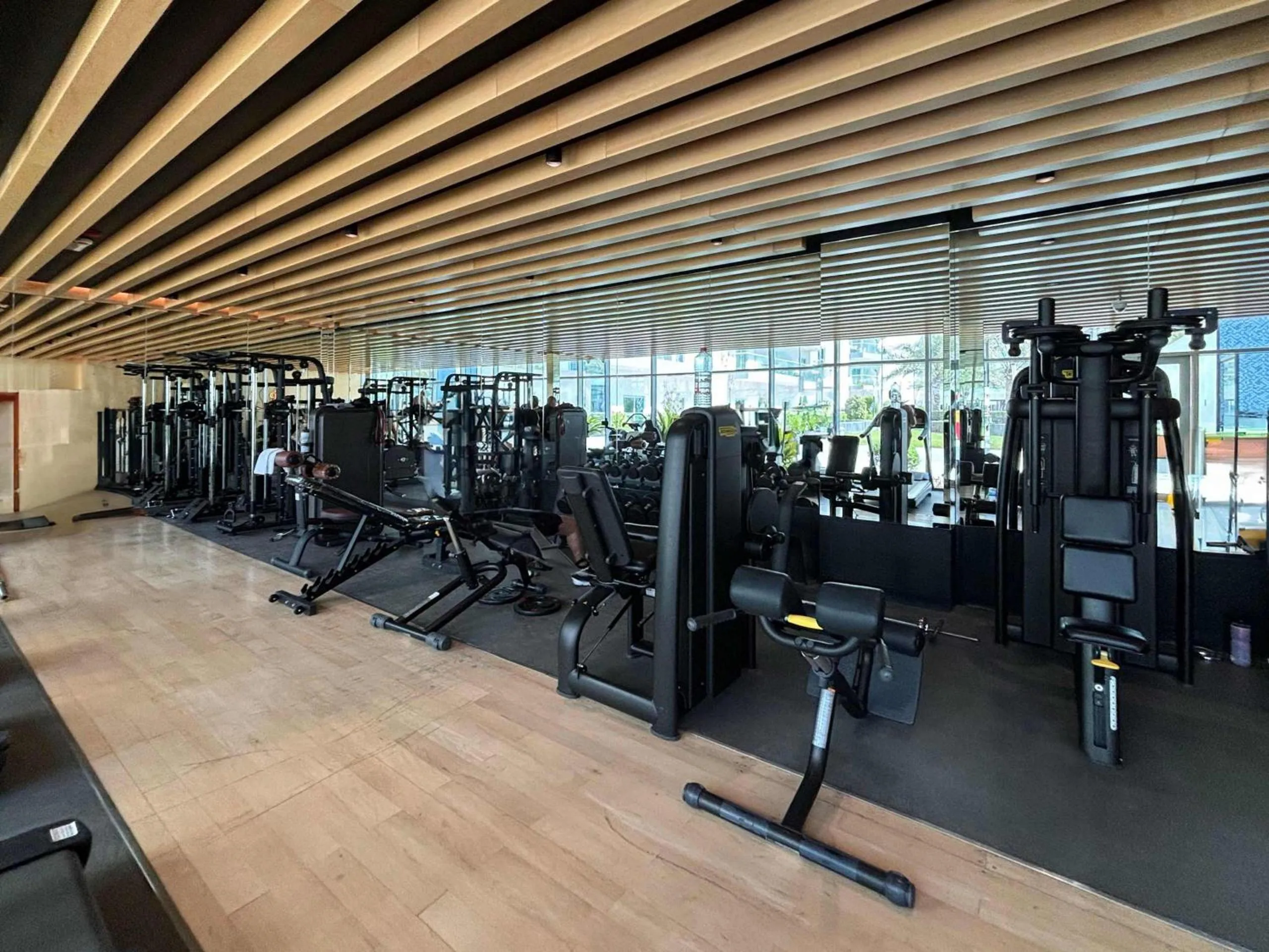 Other in Frank Porter - Bella Rose