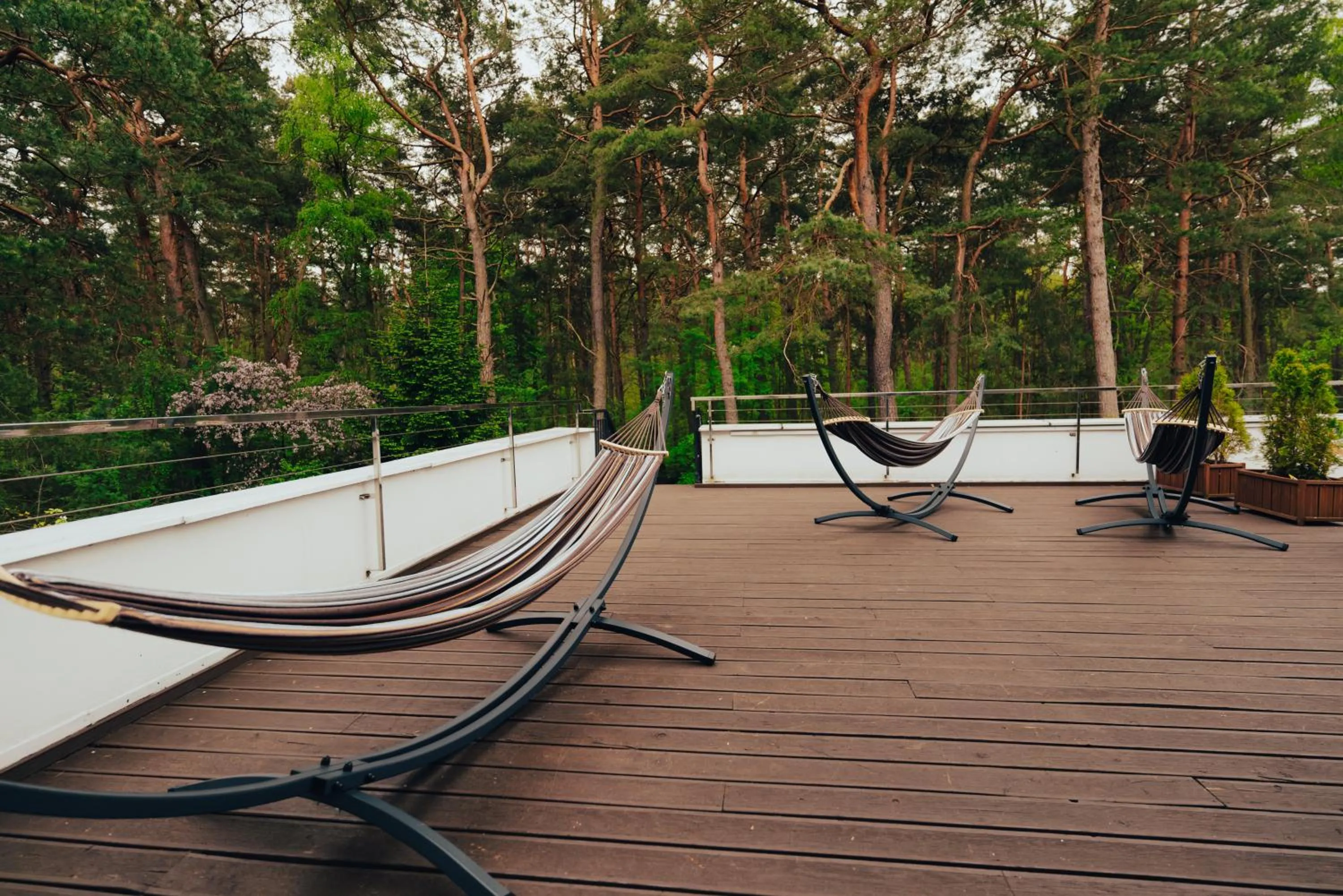 Natural landscape in Hotel Orle