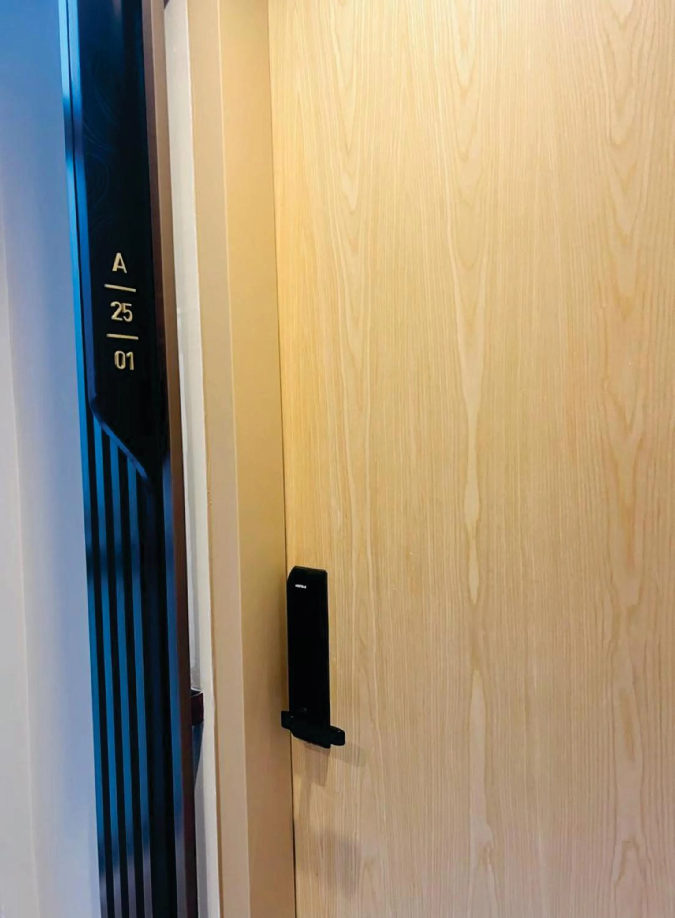 wardrobe in The Axon Apartment Bukit Bintang