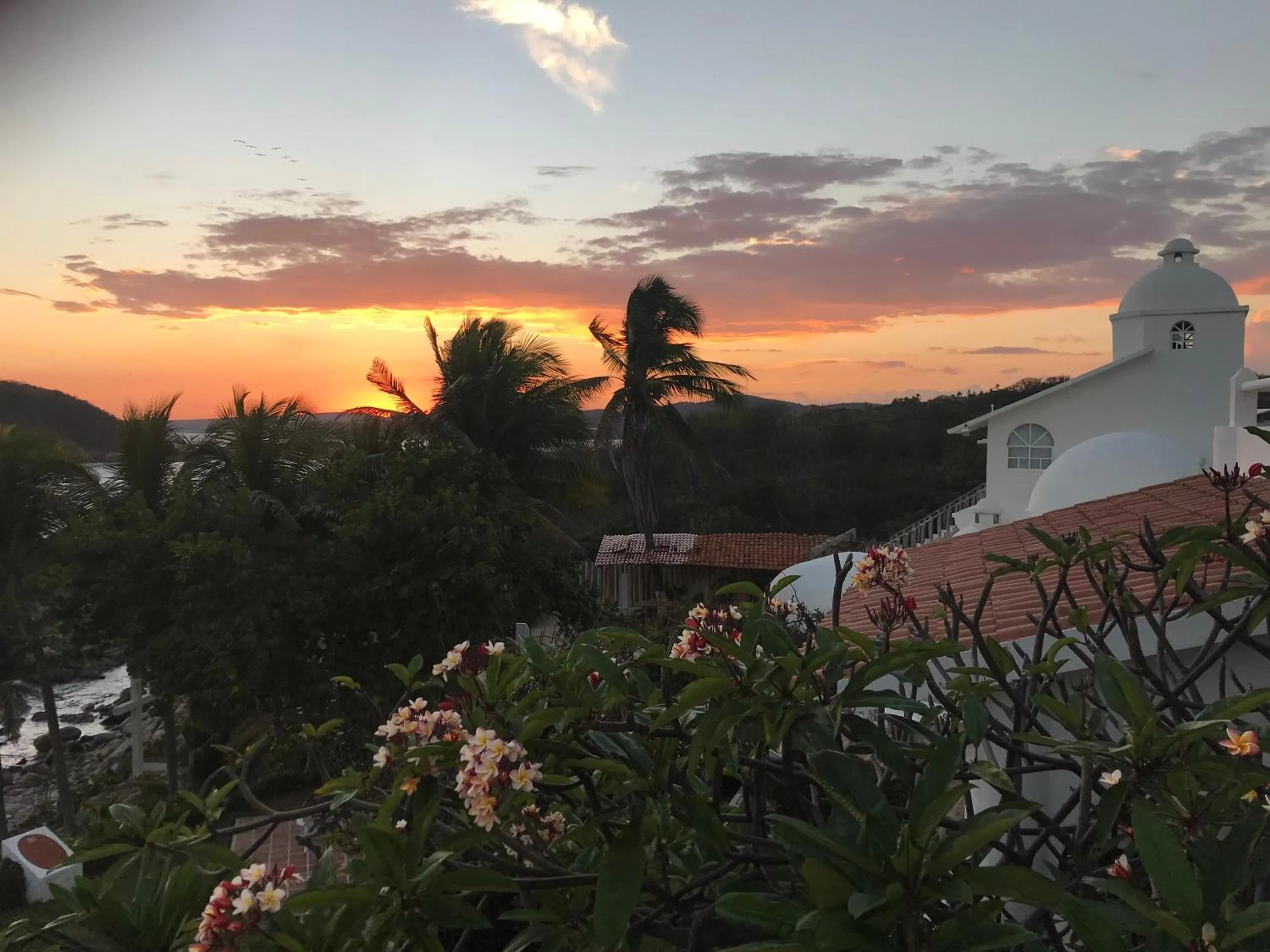 Natural landscape in Villas Fasol Huatulco