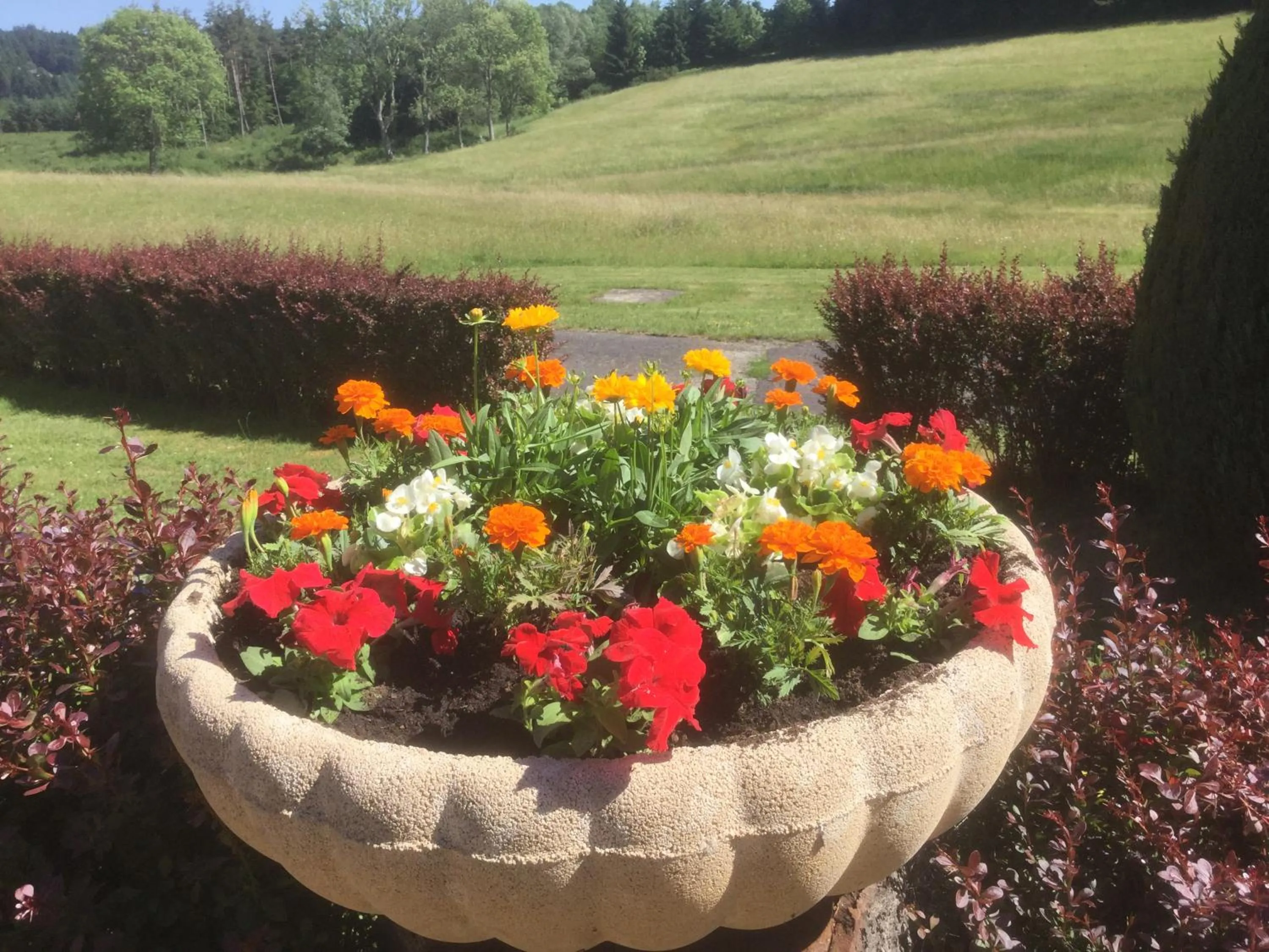 Natural landscape in Logis Hôtel Le Relais du Bois Vialotte