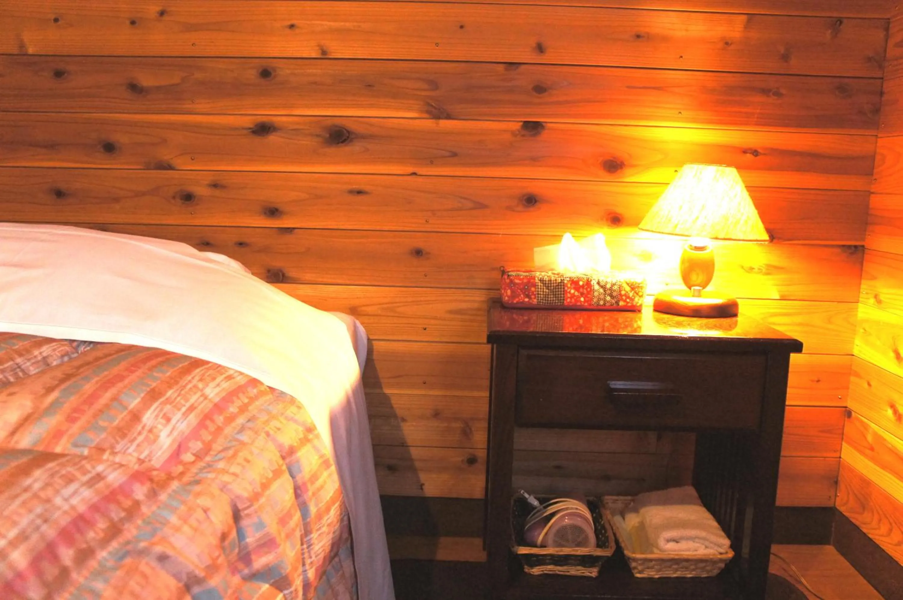 Photo of the whole room in Ringo Lodge Hakuba