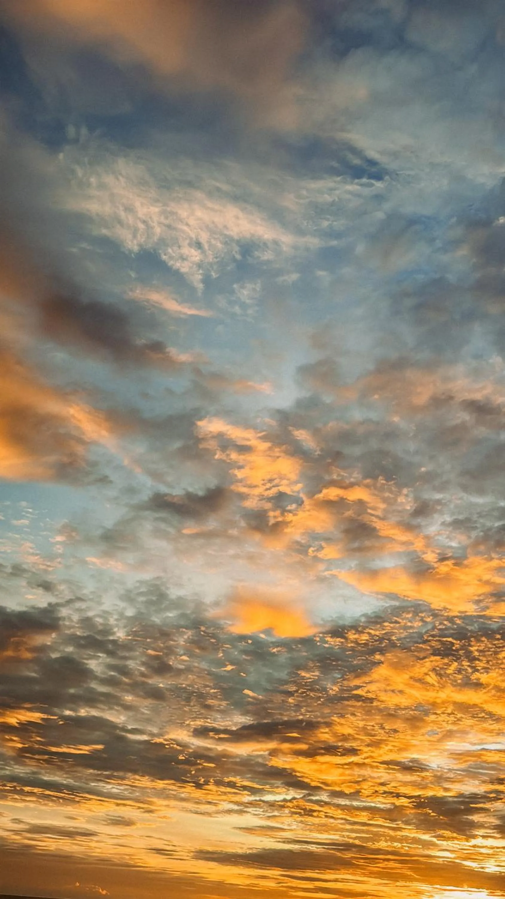 Natural landscape in Kood Life