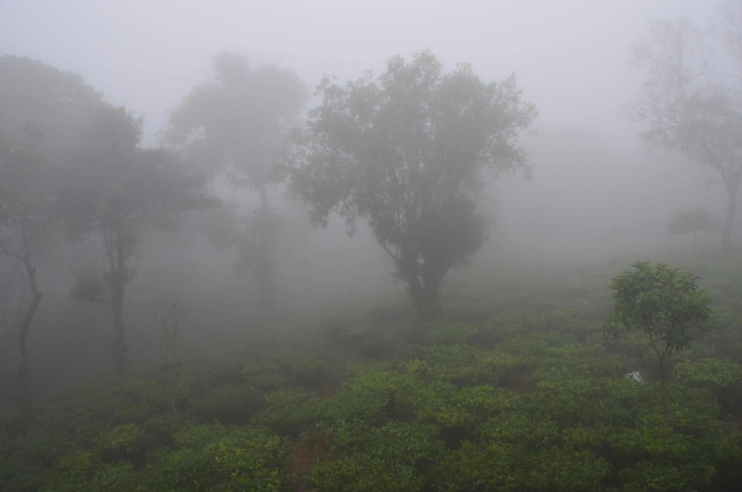 Area and facilities in Chillax Vagamon