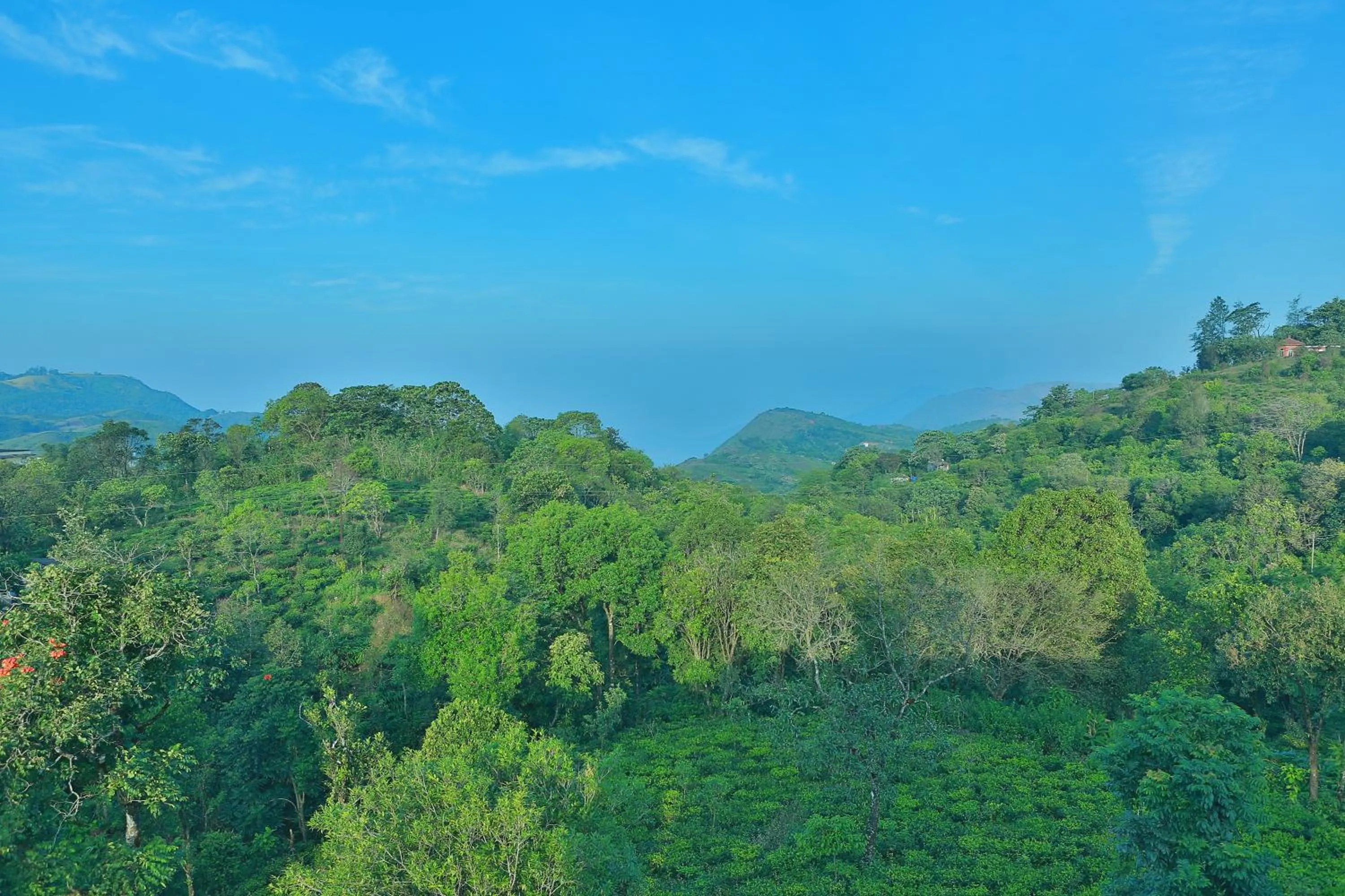 Area and facilities in Chillax Vagamon