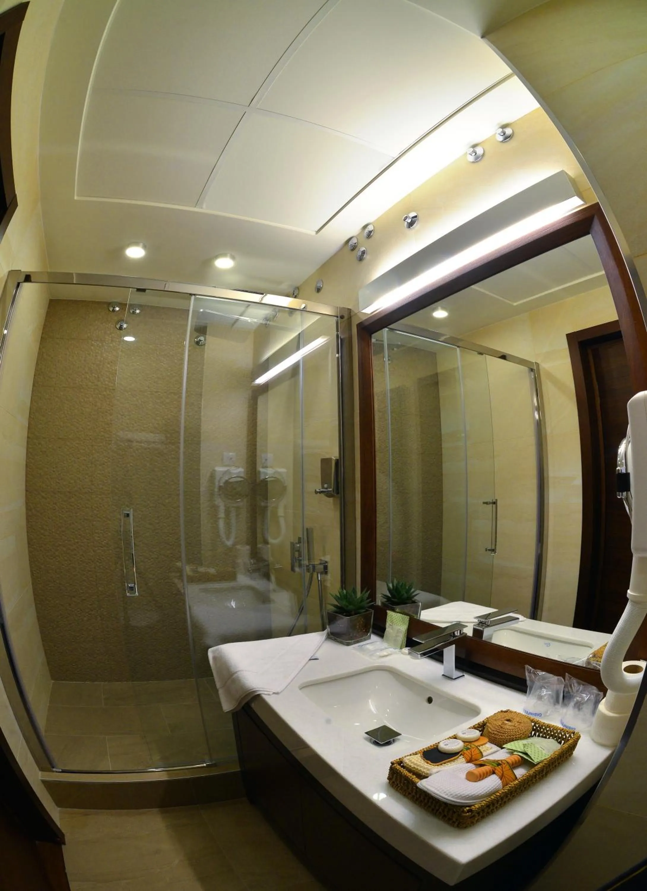 Shower in Belgreat Premium Suites