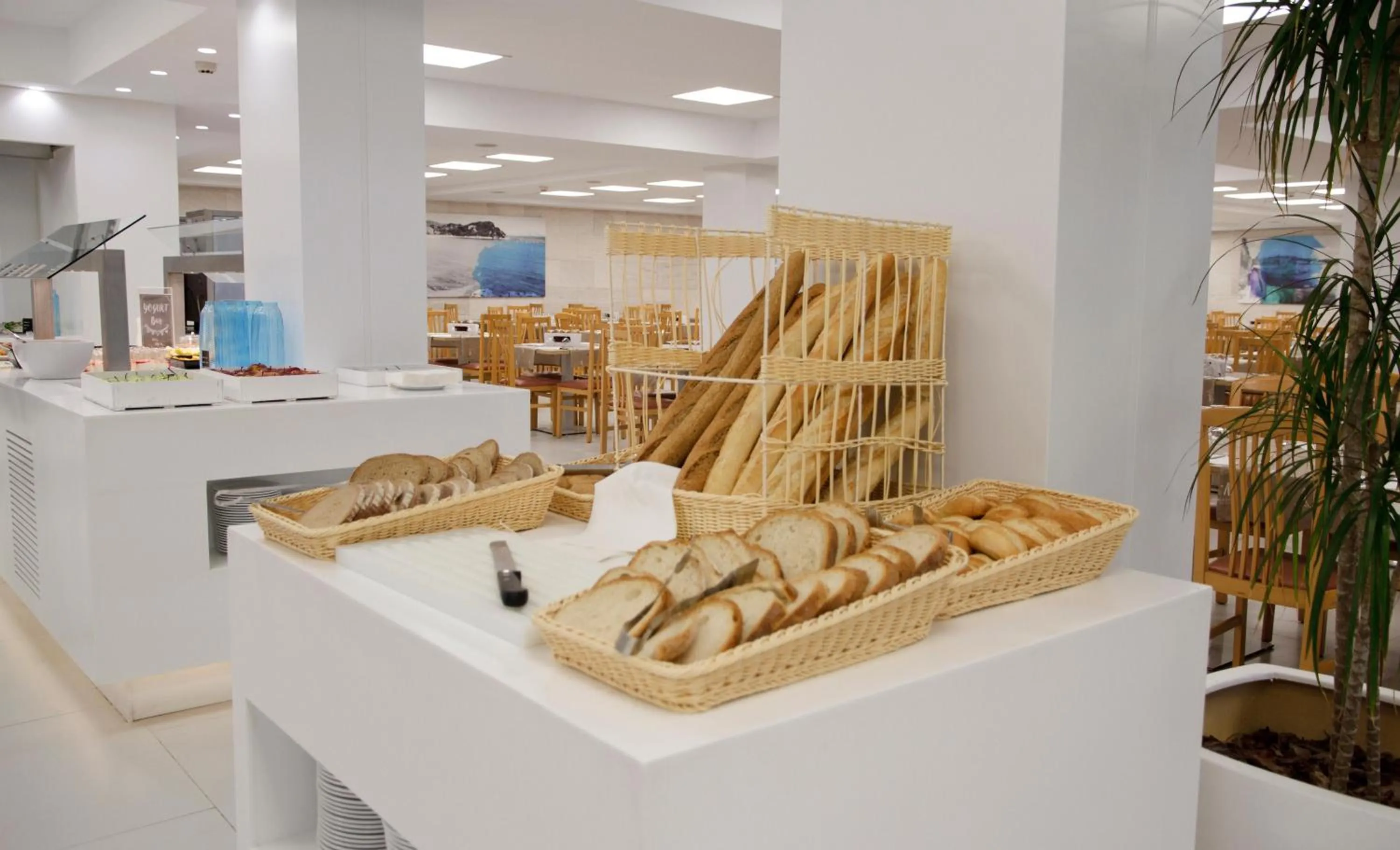 Restaurant/places to eat in ALEGRIA Fenals Mar