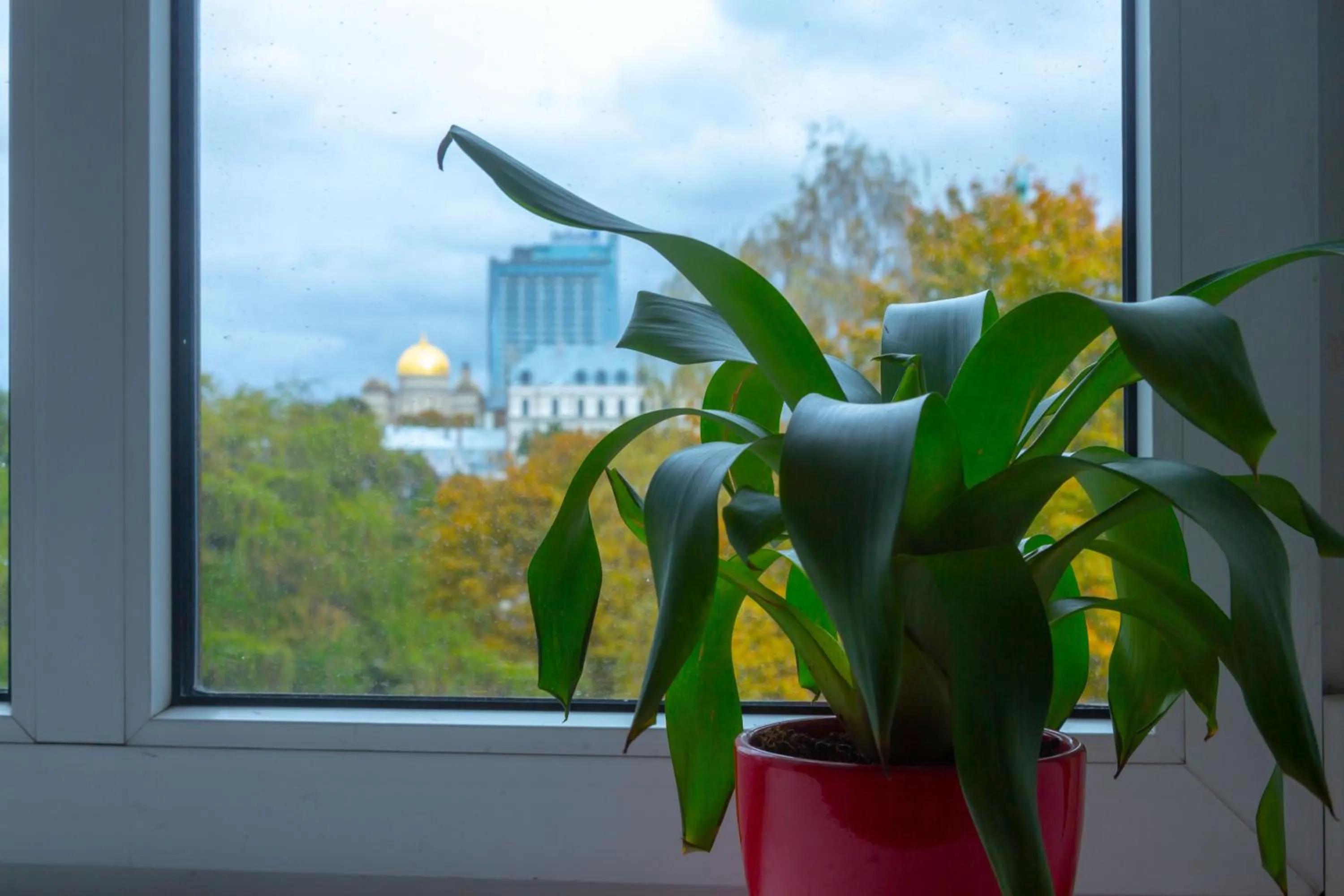 City view in Liberty Airy