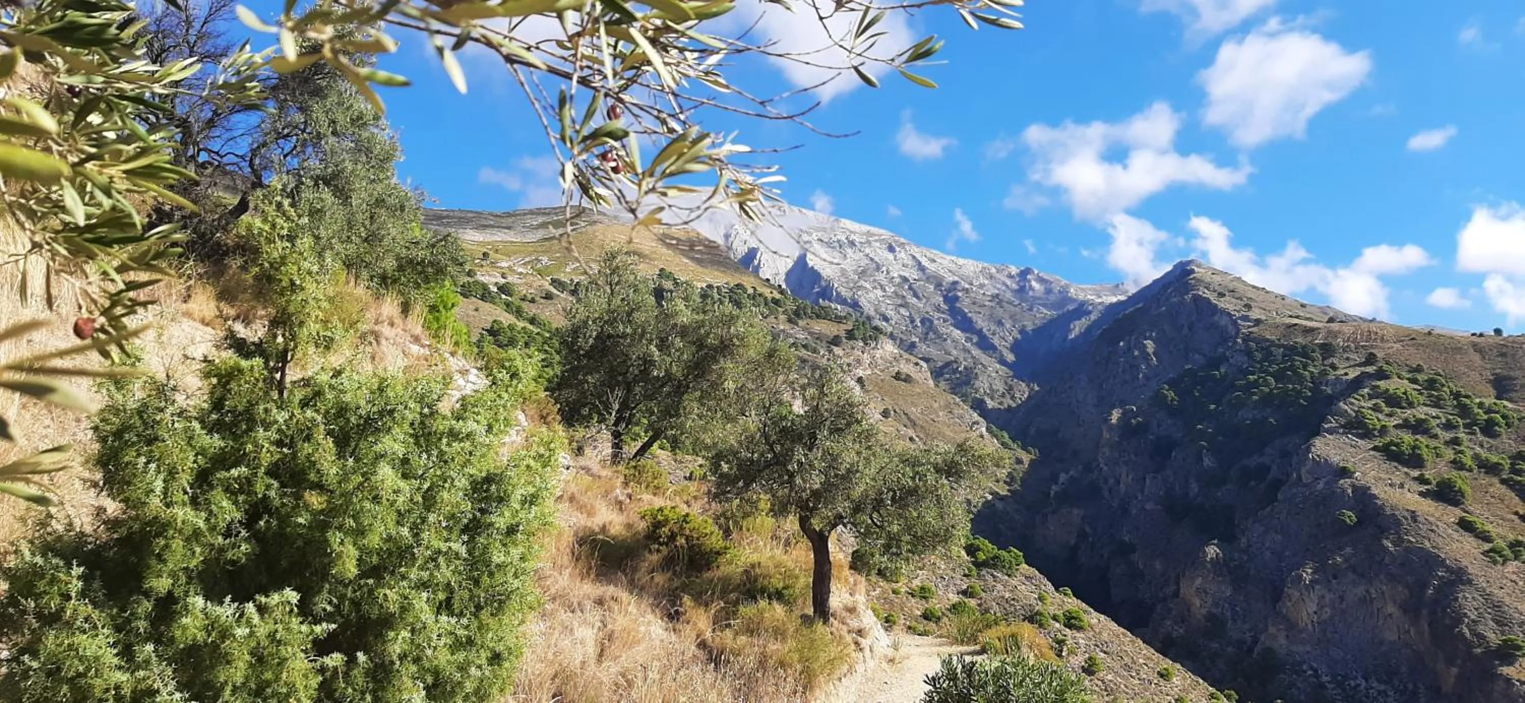 Bed and Breakfast Lagabella