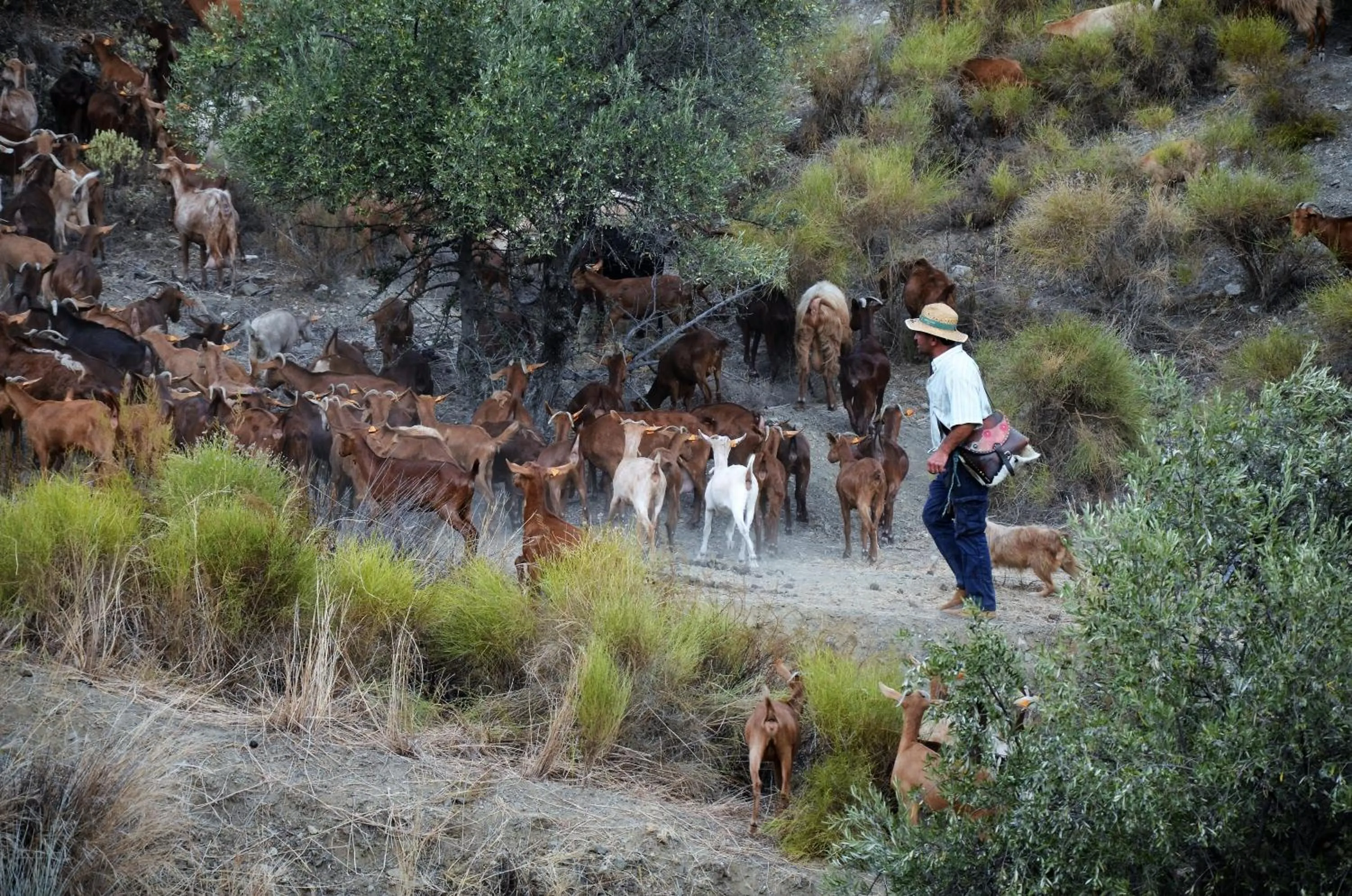 Natural landscape in Bed and Breakfast Lagabella