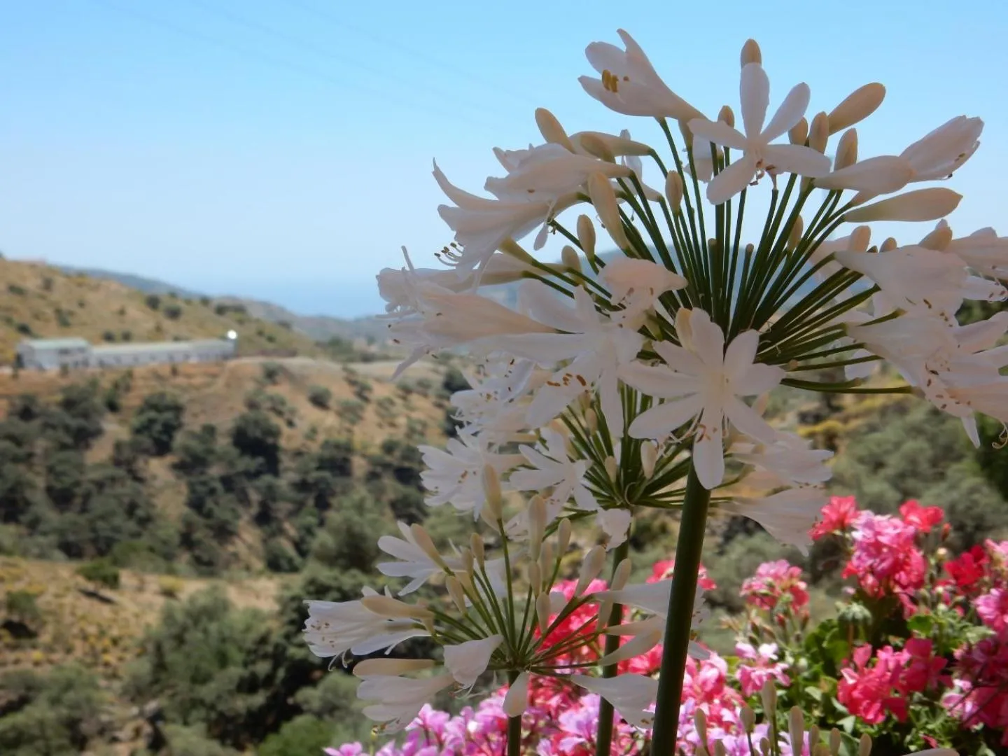 Bed and Breakfast Lagabella