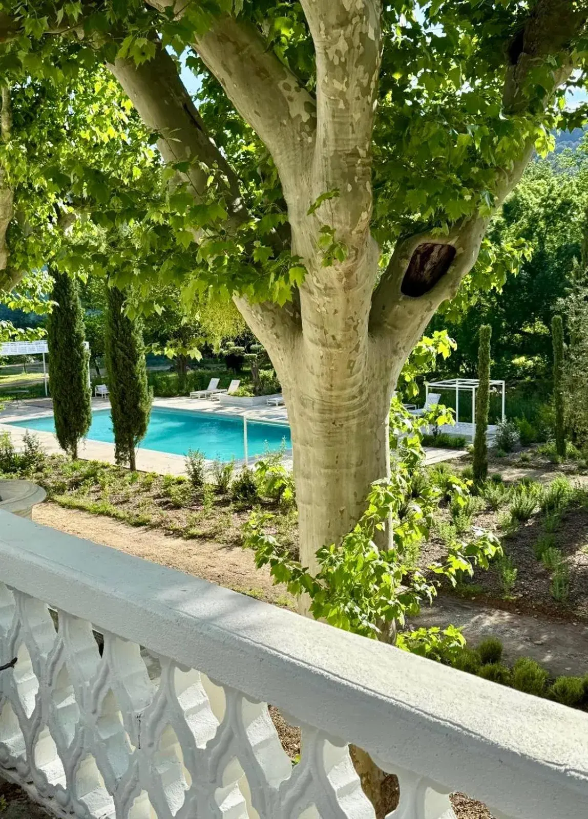 Chateau Pimo Chateau Pimo