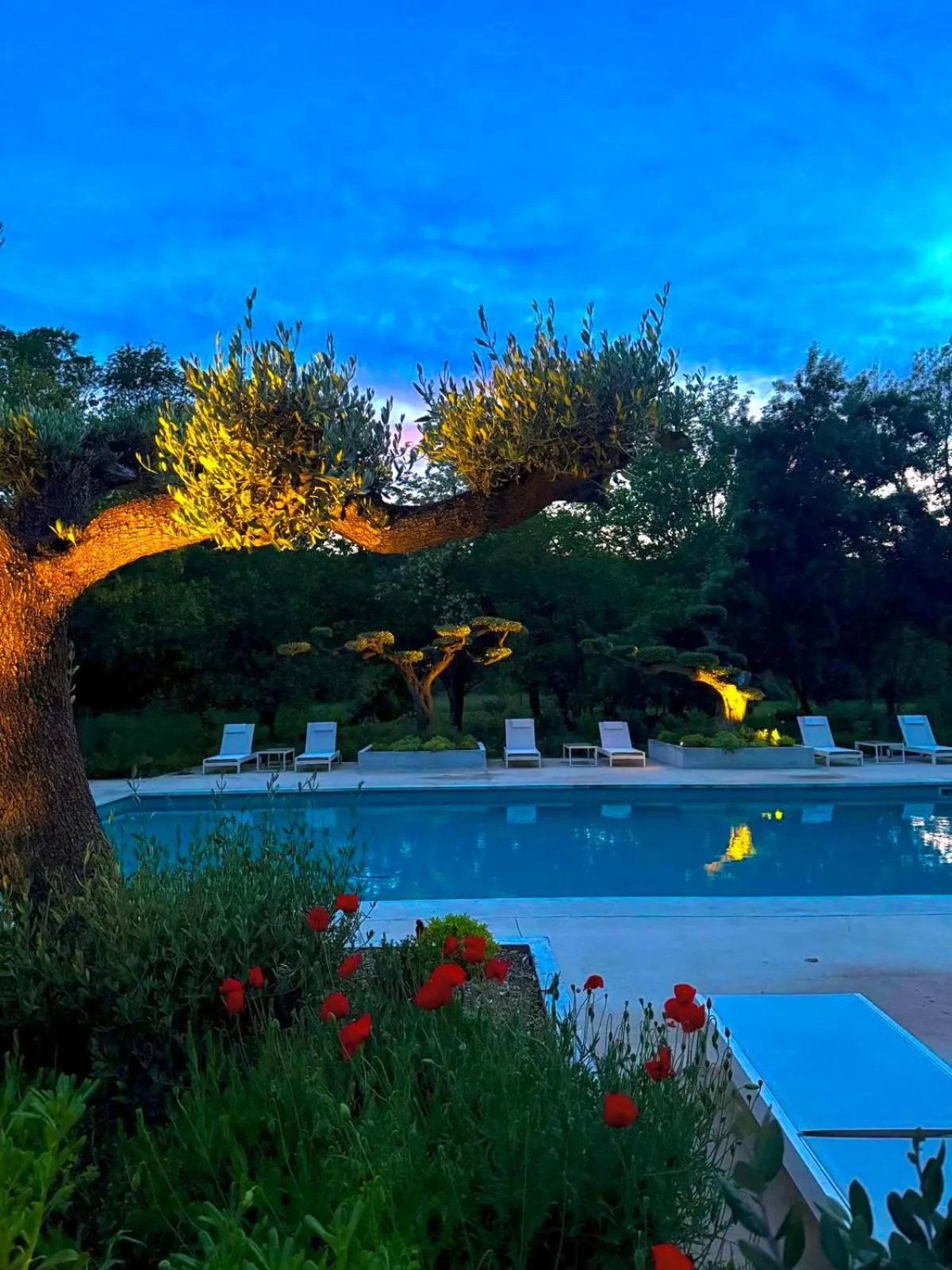 Swimming pool in Chateau Pimo
