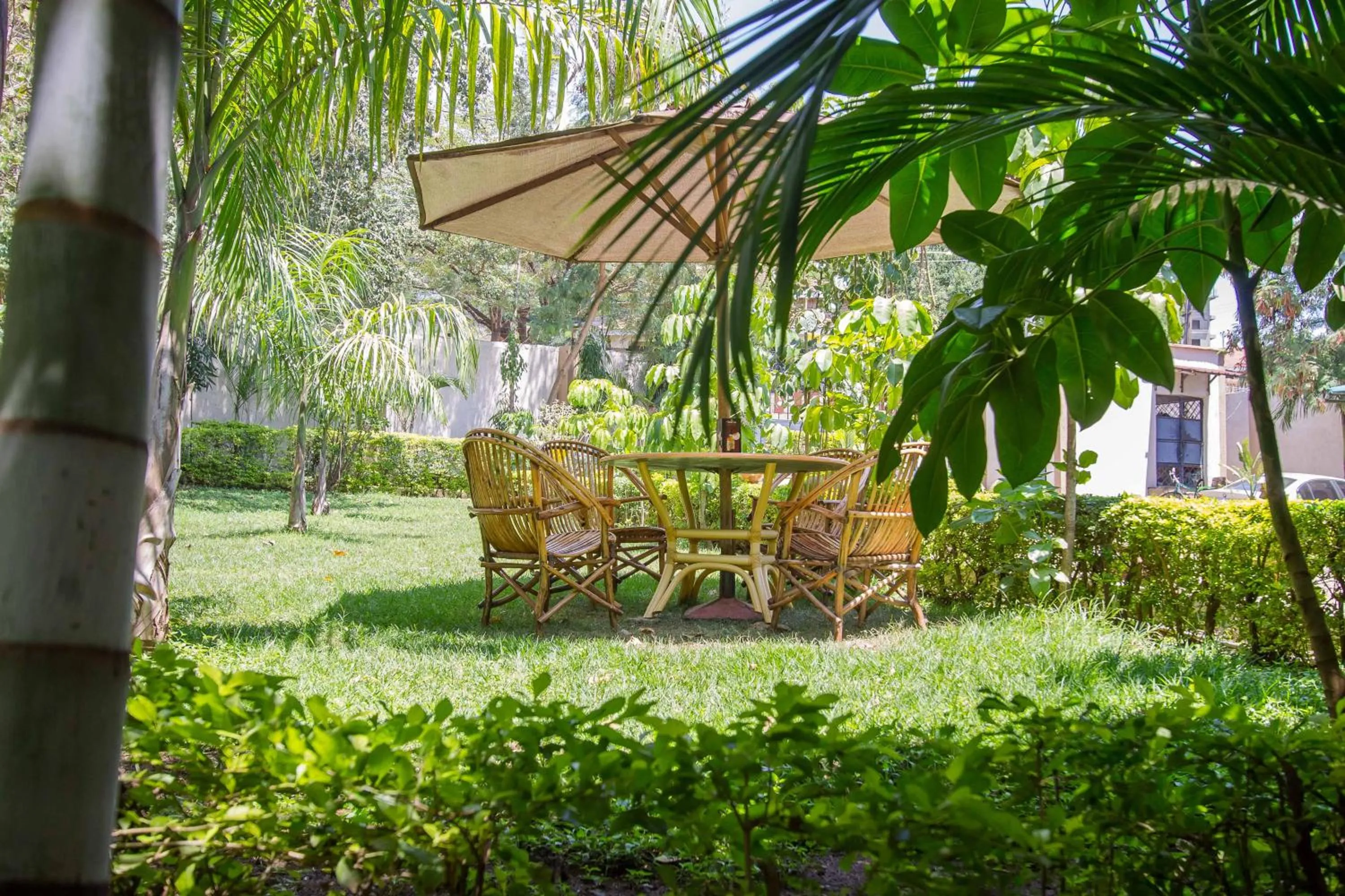 Natural landscape in Victoria Comfort Inn