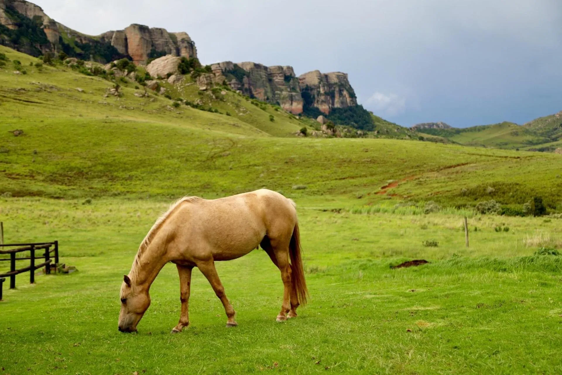 Horse-riding in Greenfire Drakensberg Lodge