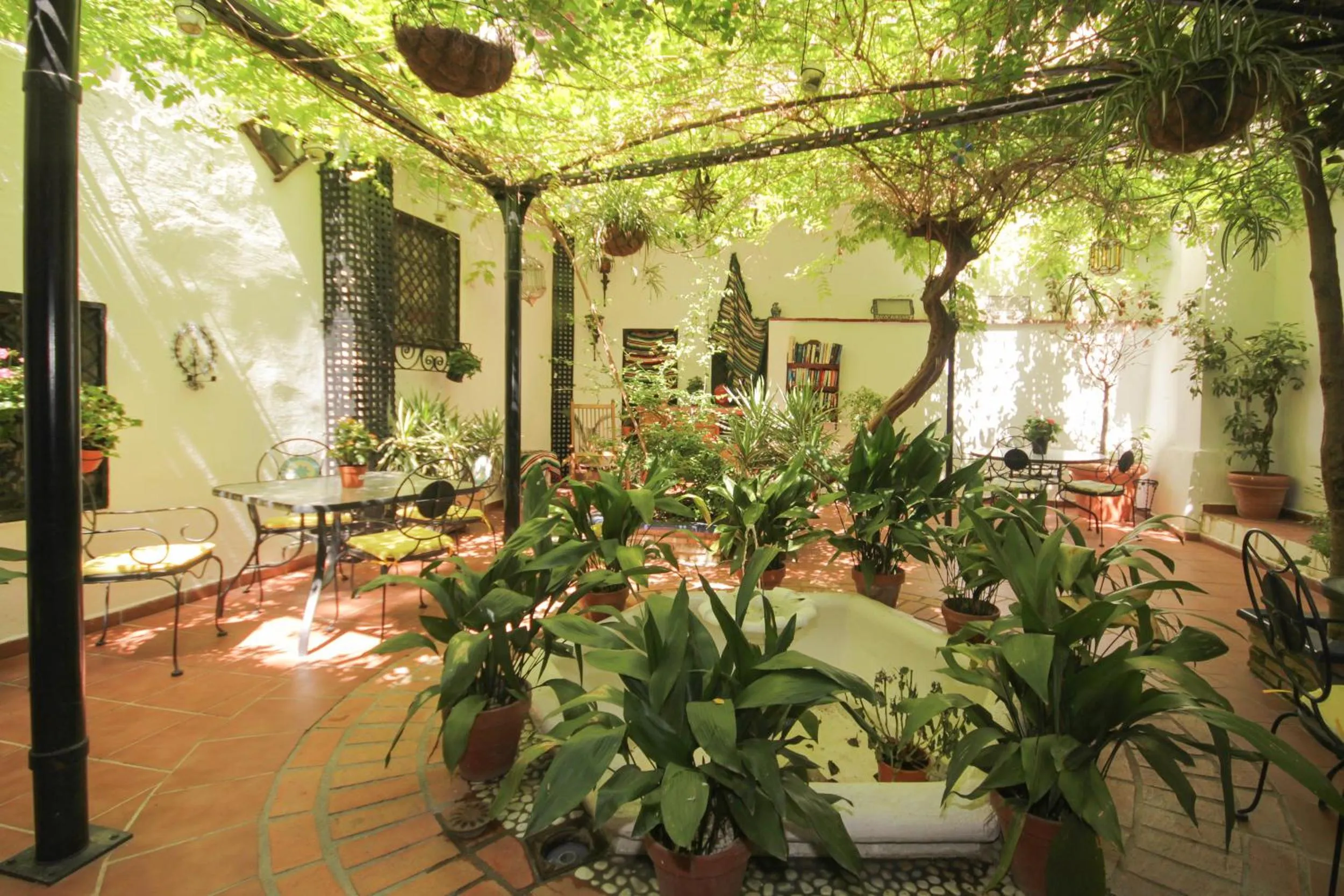 Garden in Hostal Costa Azul