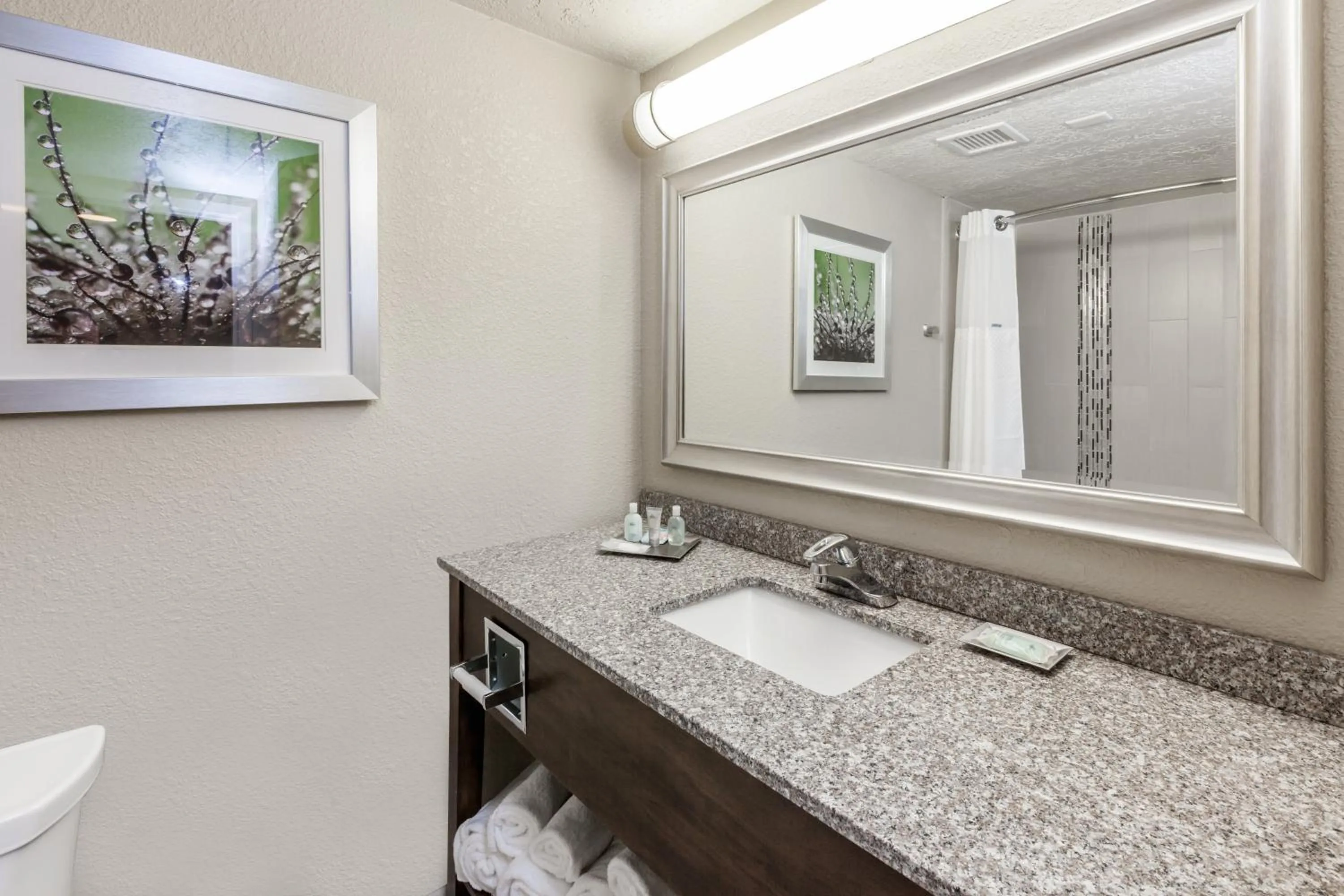 Bathroom in Holiday Inn Hotel & Suites Oklahoma City North by IHG