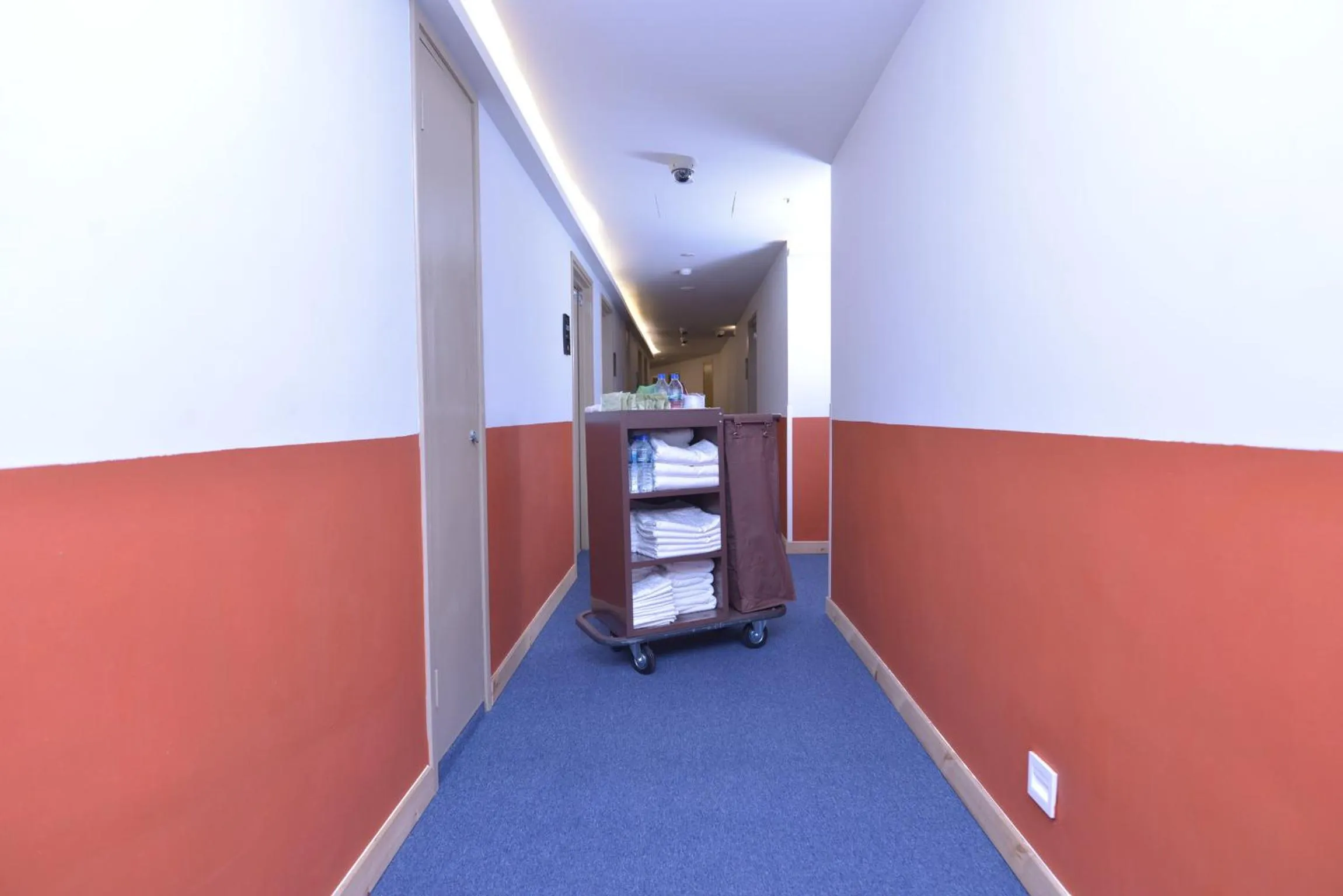 Decorative detail in Hotel Pintar