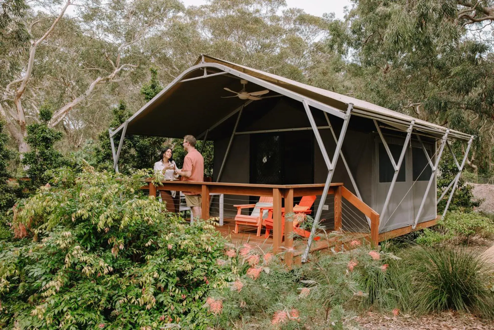 Deluxe Glamping Tent in Port Stephens Koala Sanctuary Deluxe Glamping Tent in Port Stephens Koala Sanctuary