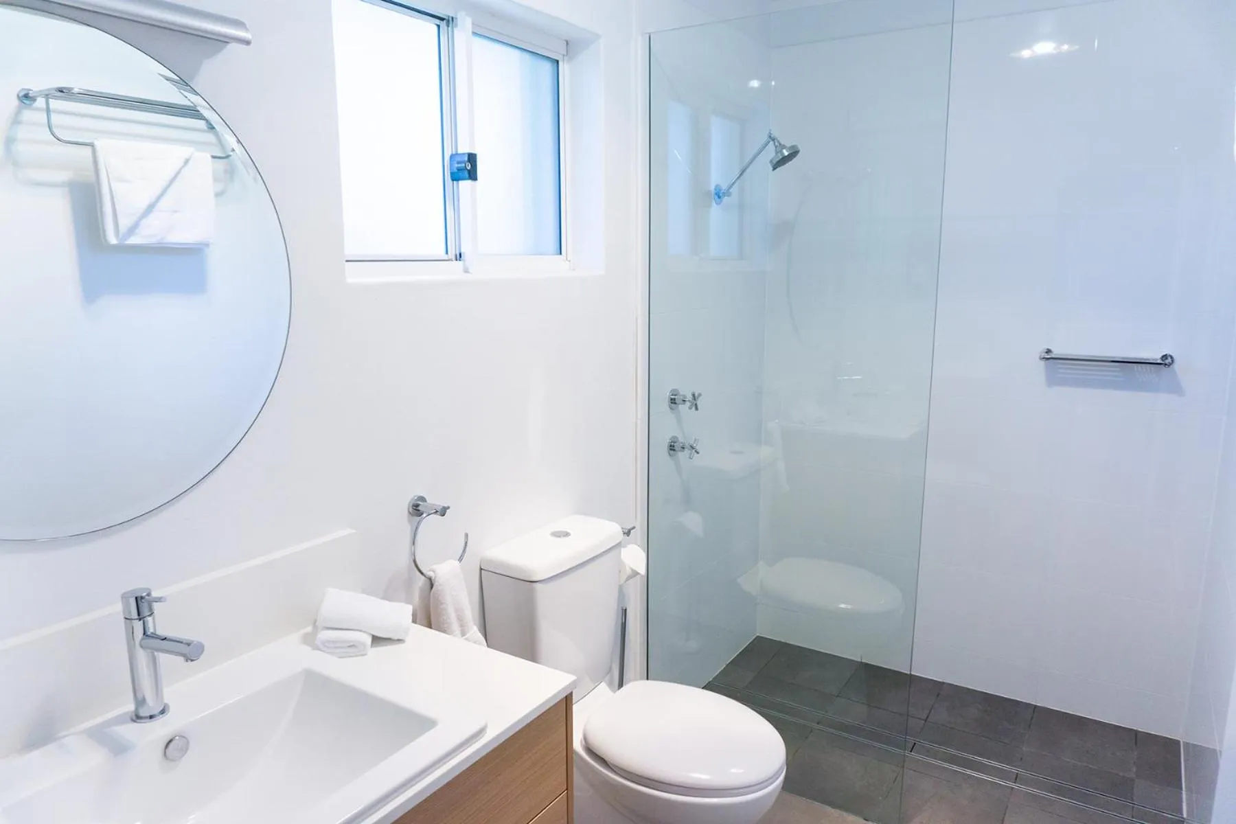 Port Stephens Koala Sanctuary